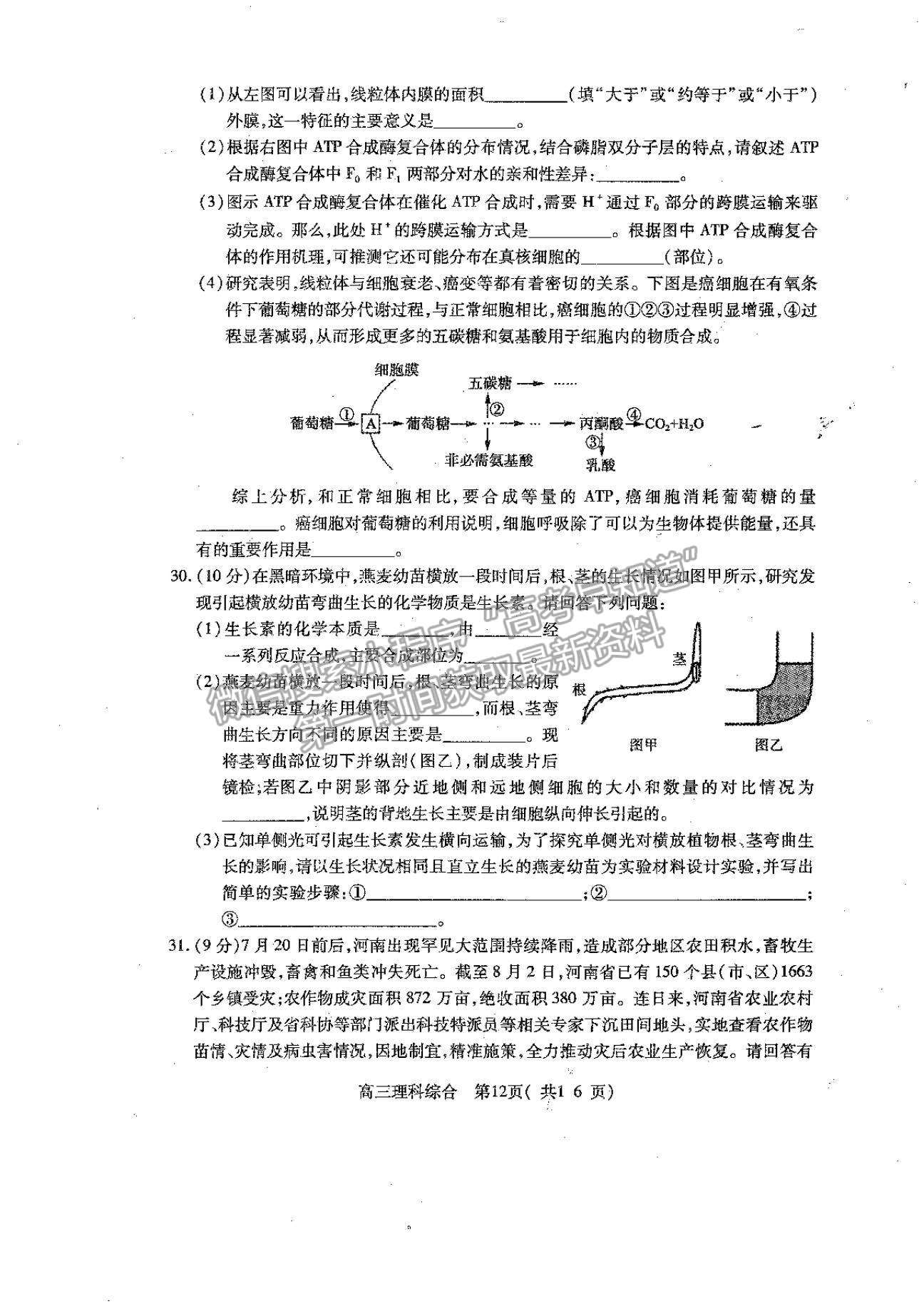 2022河南省平頂山市高三上學期階段性檢測理綜試題及參考答案