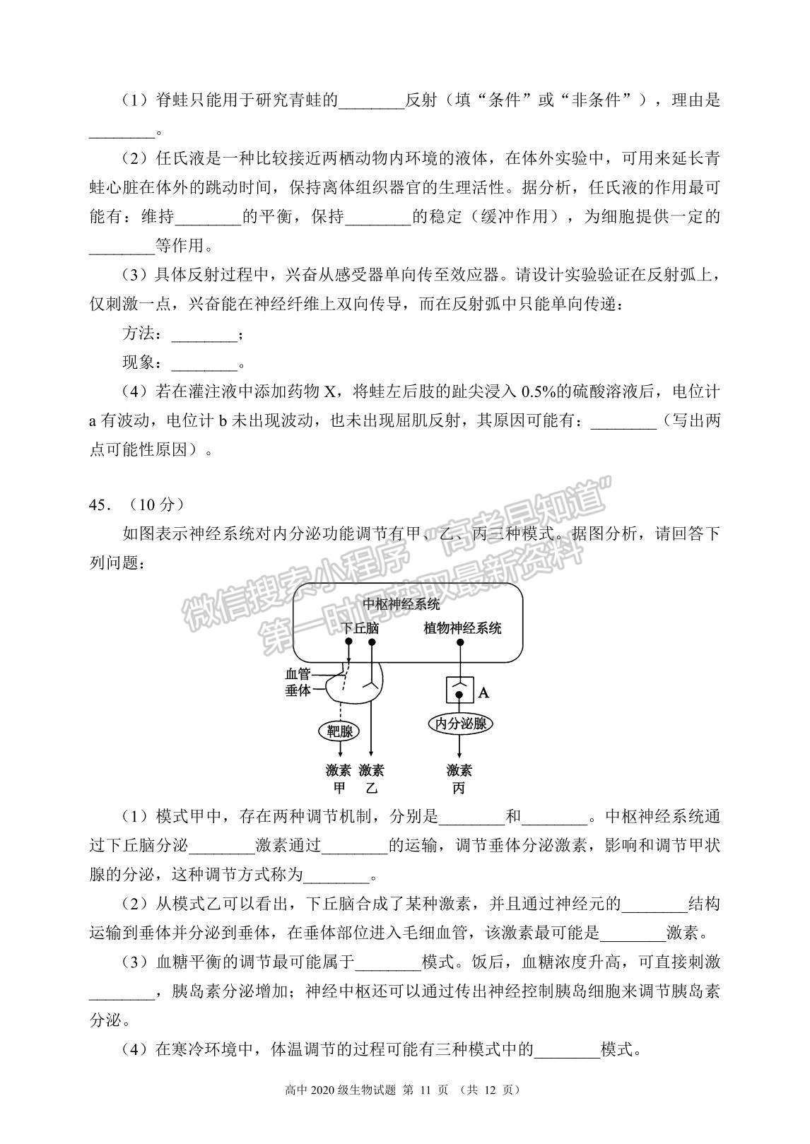 2022四川省蓉城名校聯(lián)盟高二上學(xué)期期中聯(lián)考生物試題及參考答案