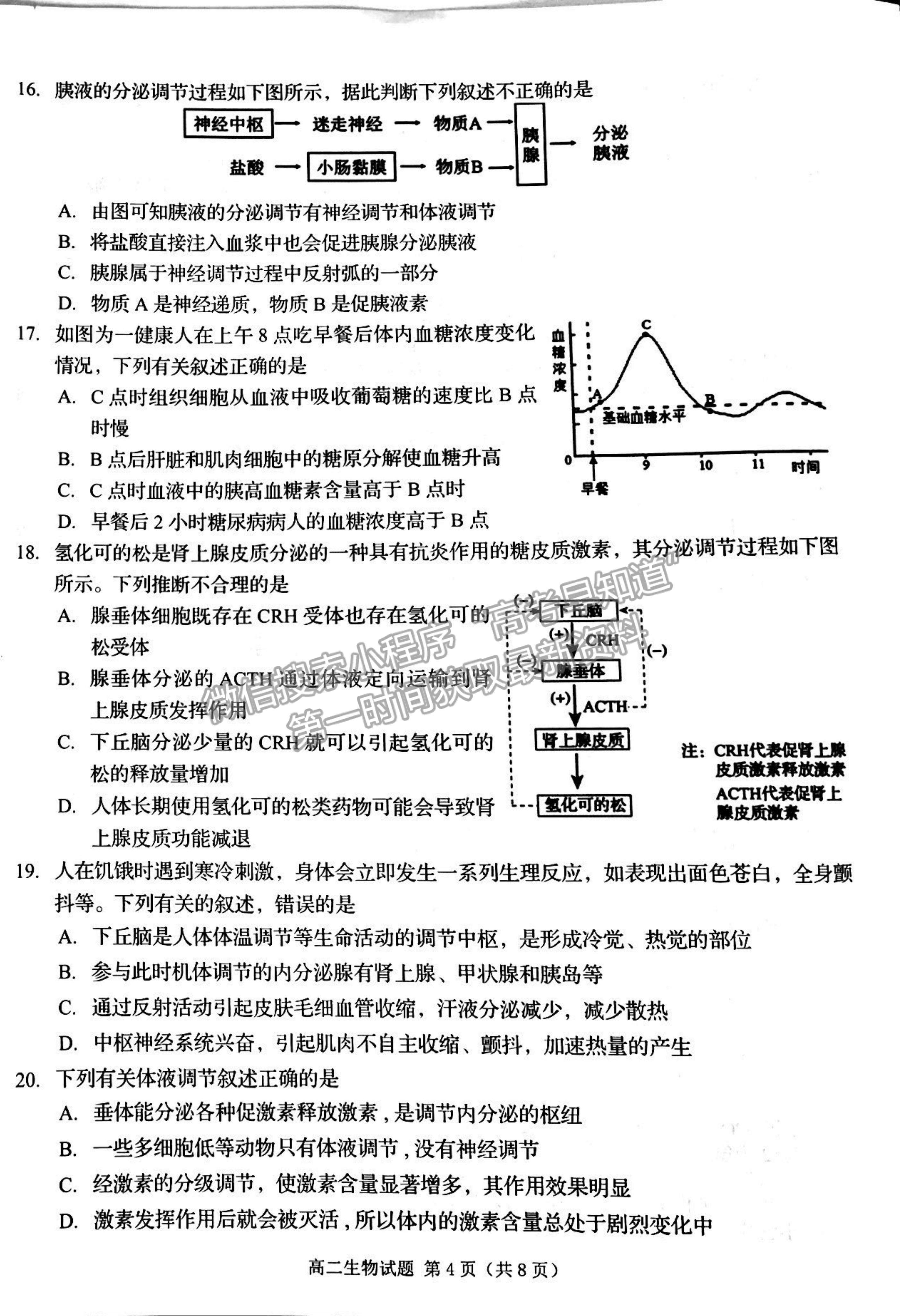 2022吉林省四平市普通高中高二上學(xué)期期中考試生物試題及參考答案