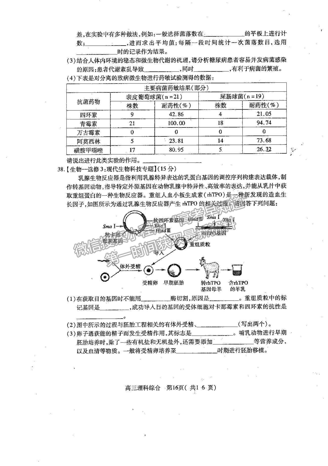 2022河南省平頂山市高三上學(xué)期階段性檢測理綜試題及參考答案