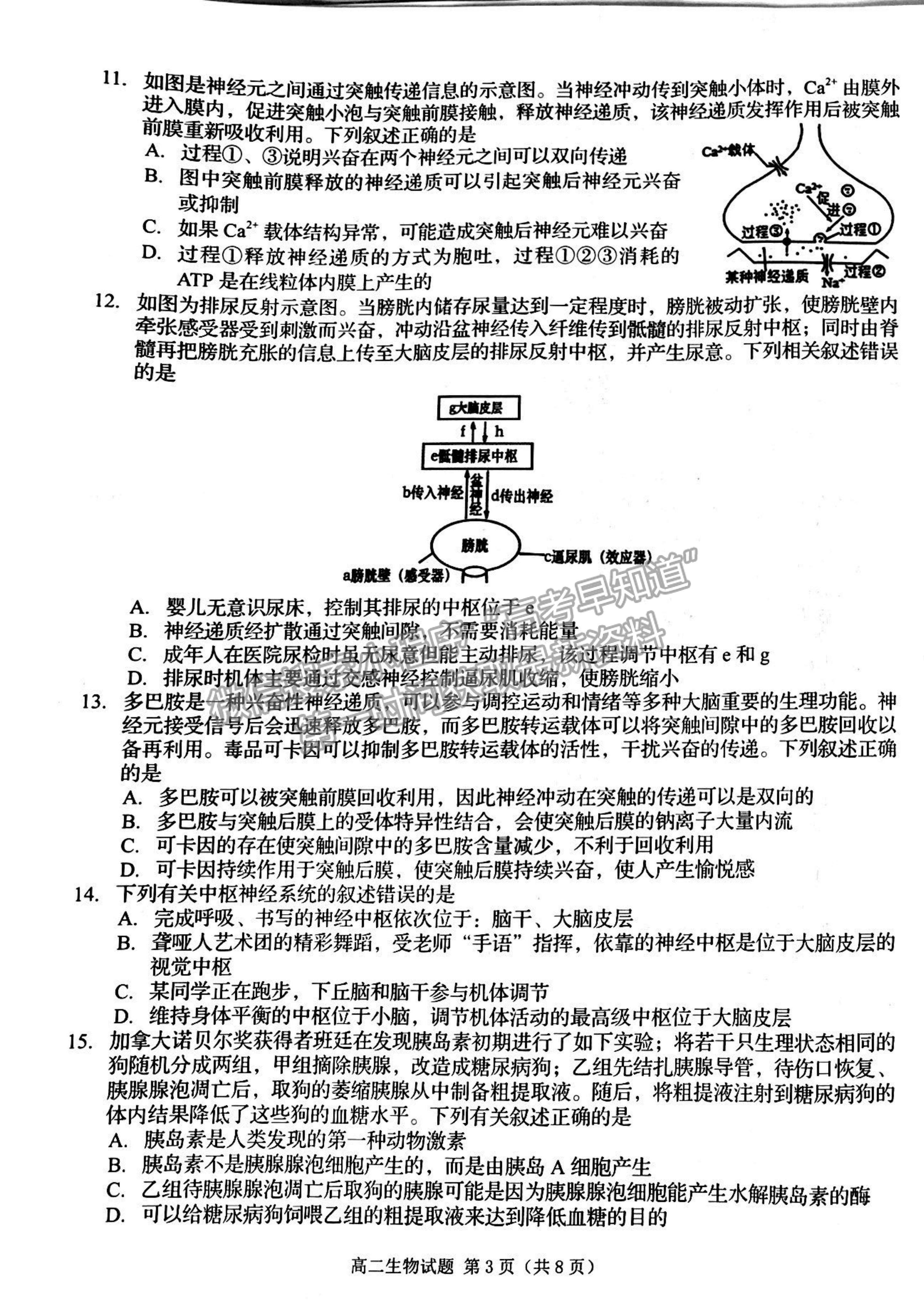 2022吉林省四平市普通高中高二上學(xué)期期中考試生物試題及參考答案