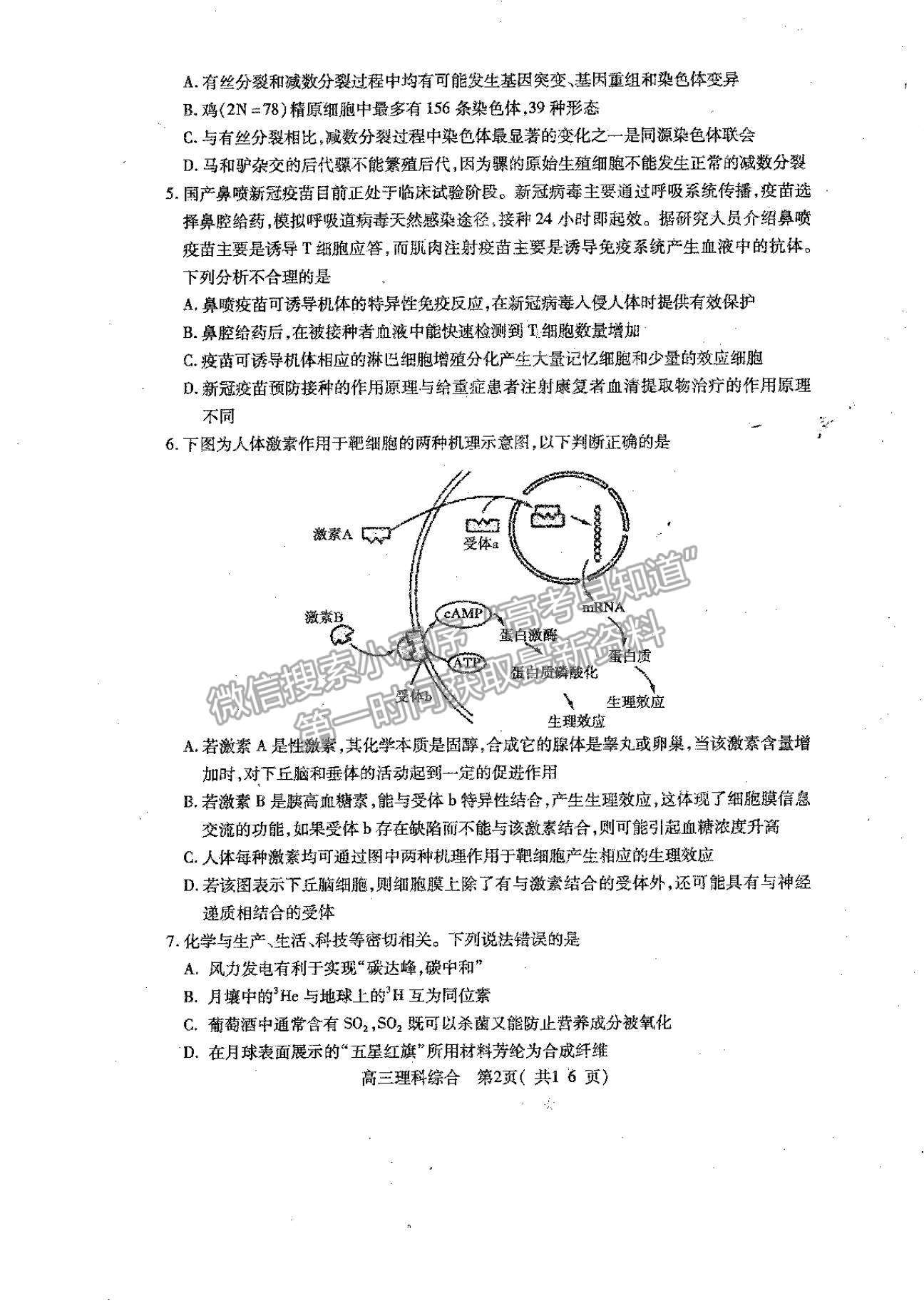 2022河南省平頂山市高三上學(xué)期階段性檢測理綜試題及參考答案