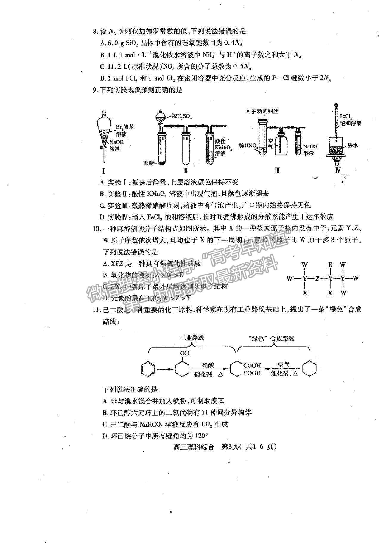 2022河南省平頂山市高三上學(xué)期階段性檢測理綜試題及參考答案