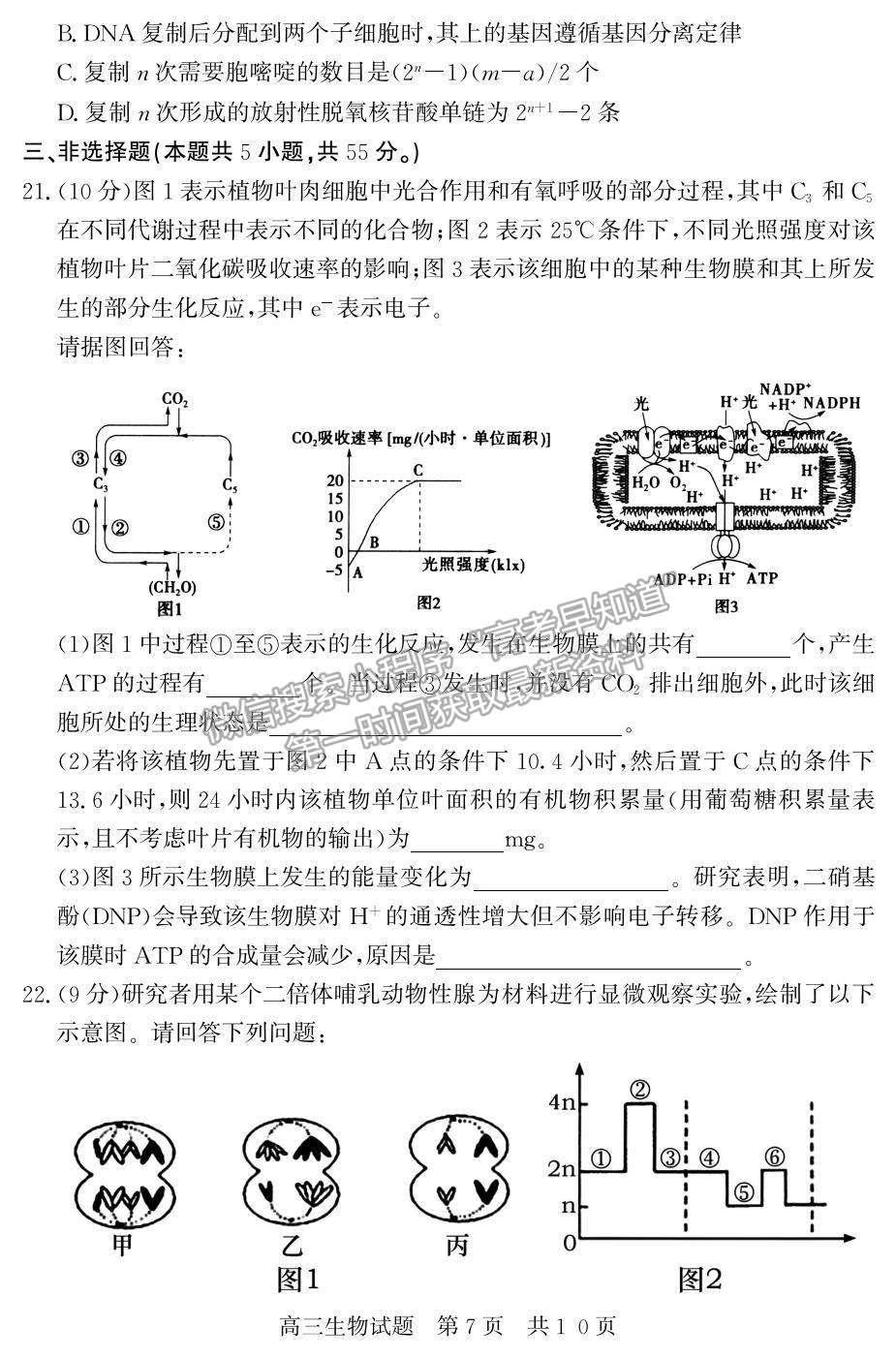 2022山東省濟(jì)寧市兗州區(qū)高三上學(xué)期期中考試生物試題及參考答案