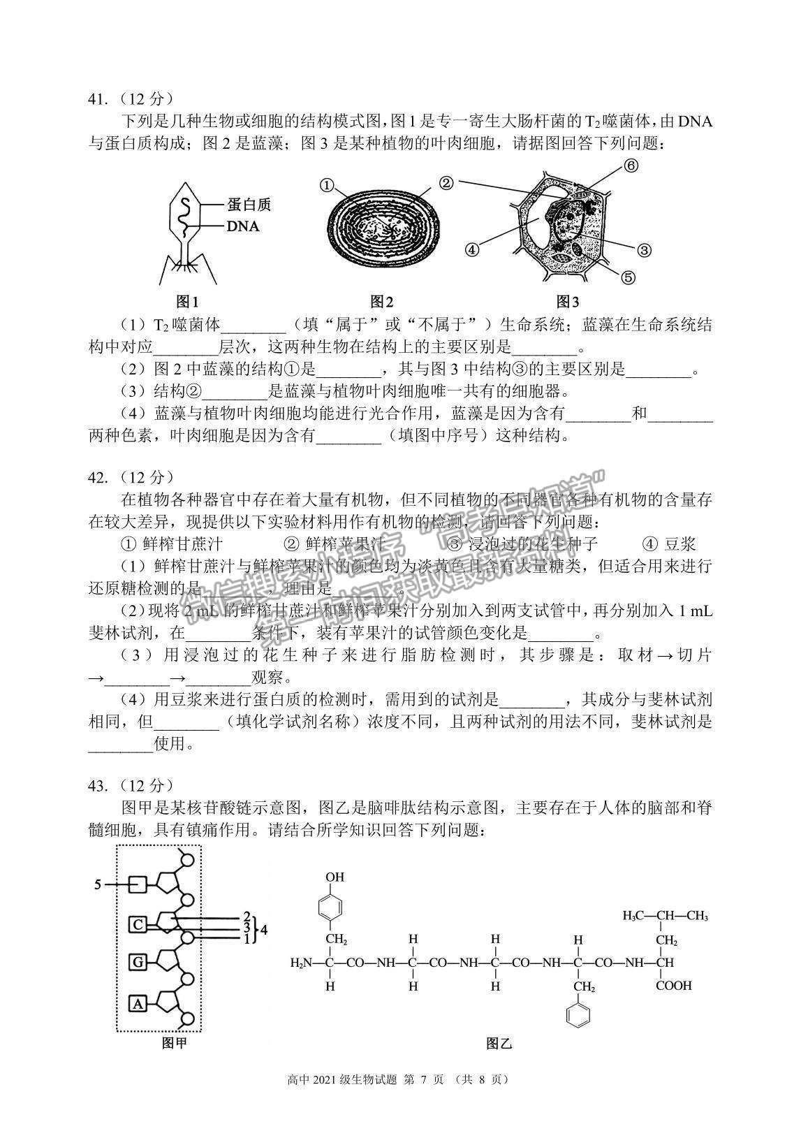 2022四川省蓉城名校聯(lián)盟高一上學(xué)期期中聯(lián)考生物試題及參考答案