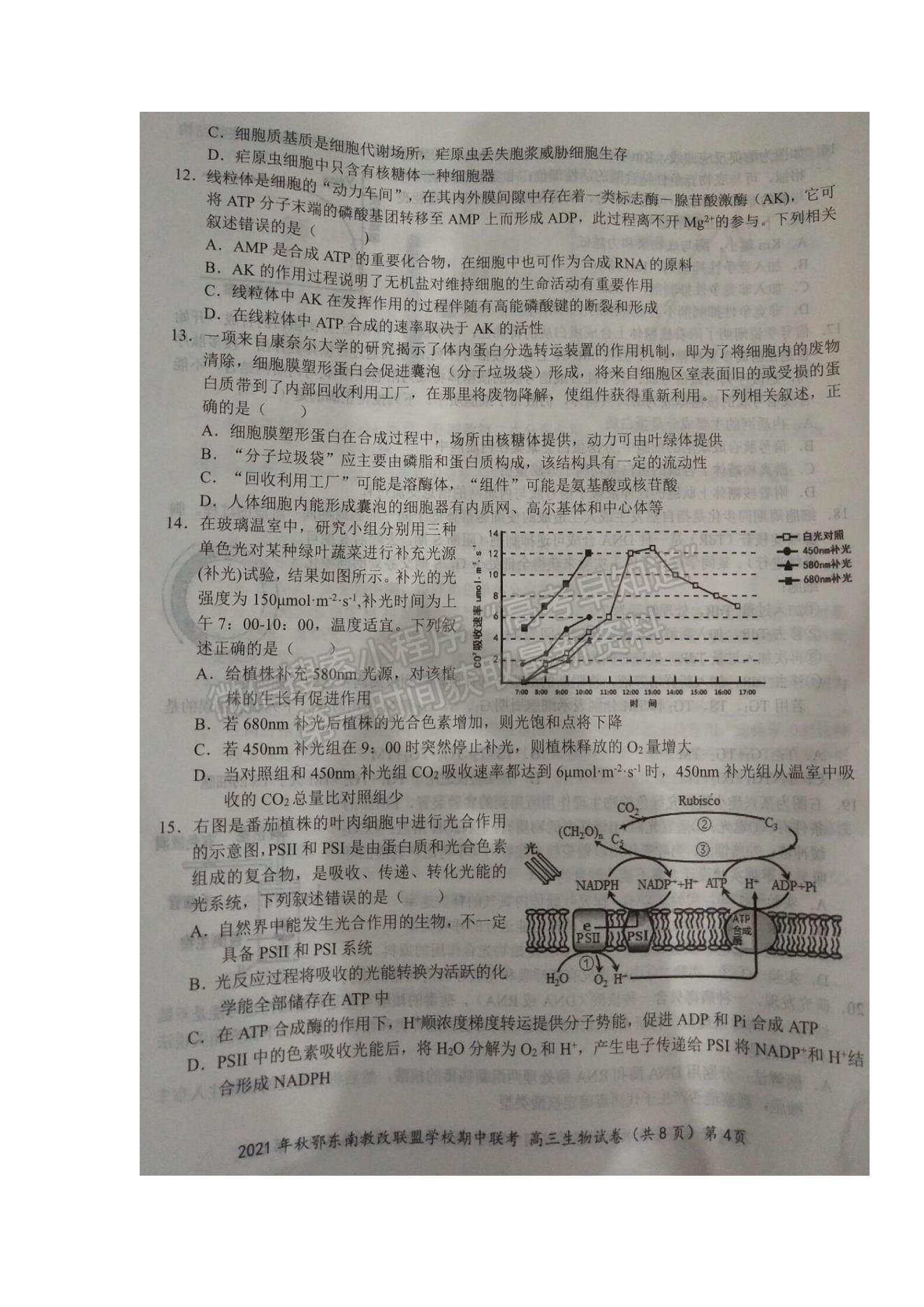 2022湖北省鄂東南省級示范高中教育教學改革聯盟學校高三上學期期中聯考生物試題及參考答案