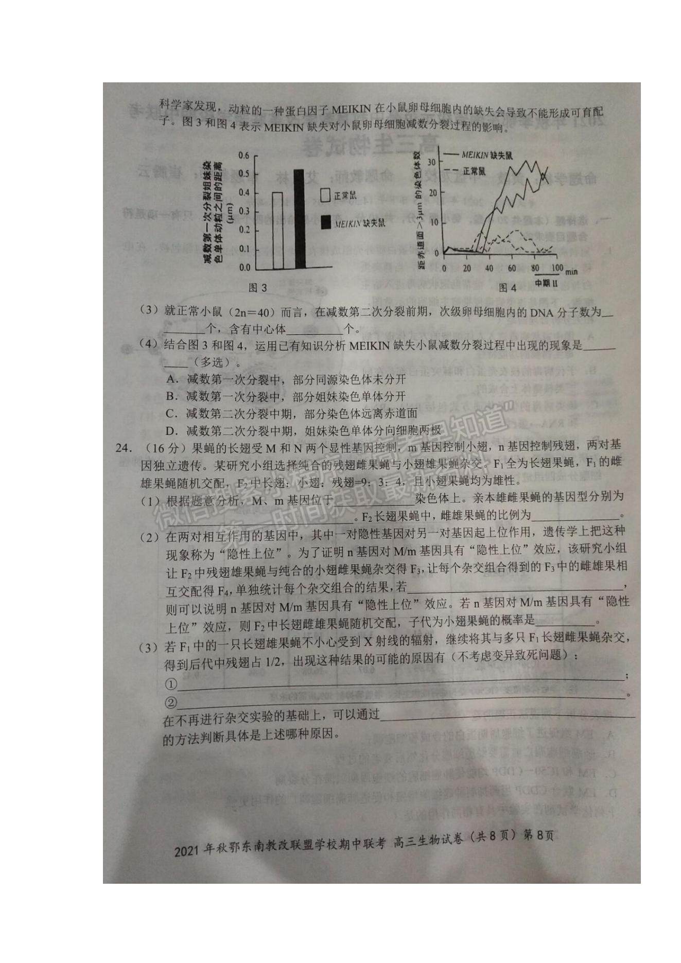 2022湖北省鄂東南省級(jí)示范高中教育教學(xué)改革聯(lián)盟學(xué)校高三上學(xué)期期中聯(lián)考生物試題及參考答案