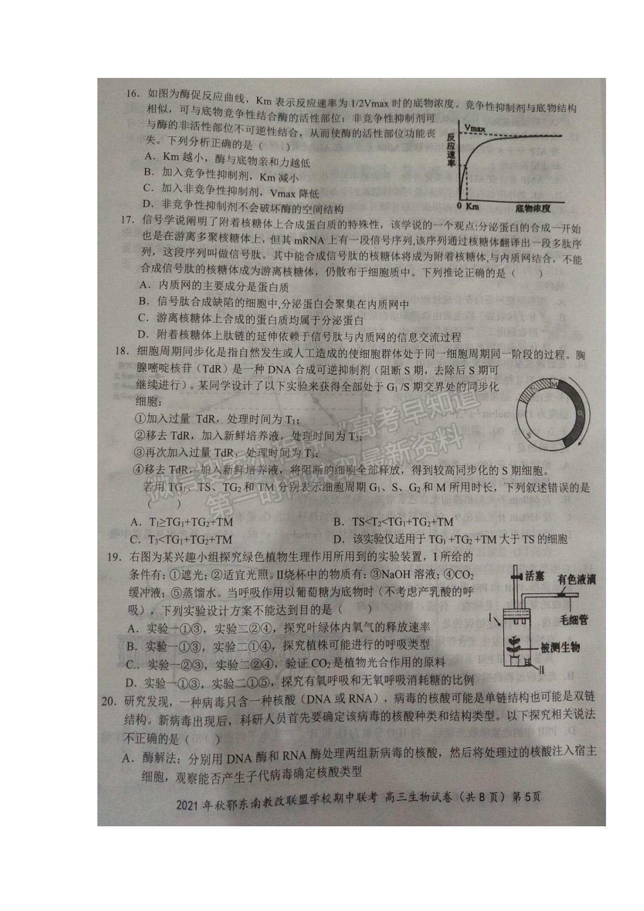 2022湖北省鄂東南省級(jí)示范高中教育教學(xué)改革聯(lián)盟學(xué)校高三上學(xué)期期中聯(lián)考生物試題及參考答案