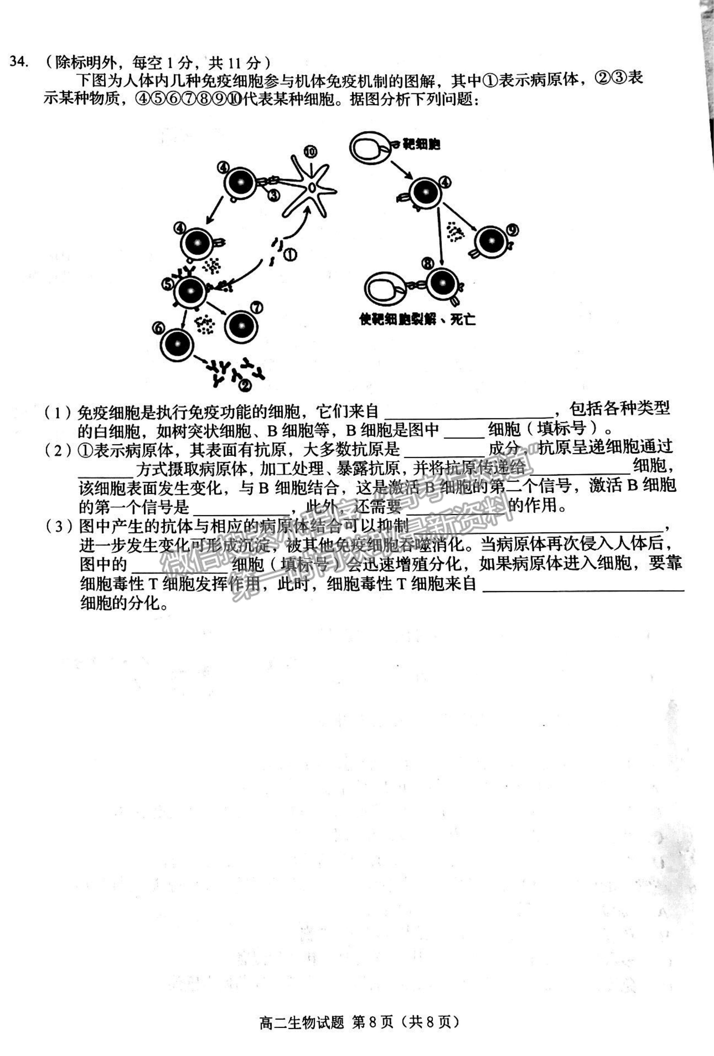 2022吉林省四平市普通高中高二上學(xué)期期中考試生物試題及參考答案