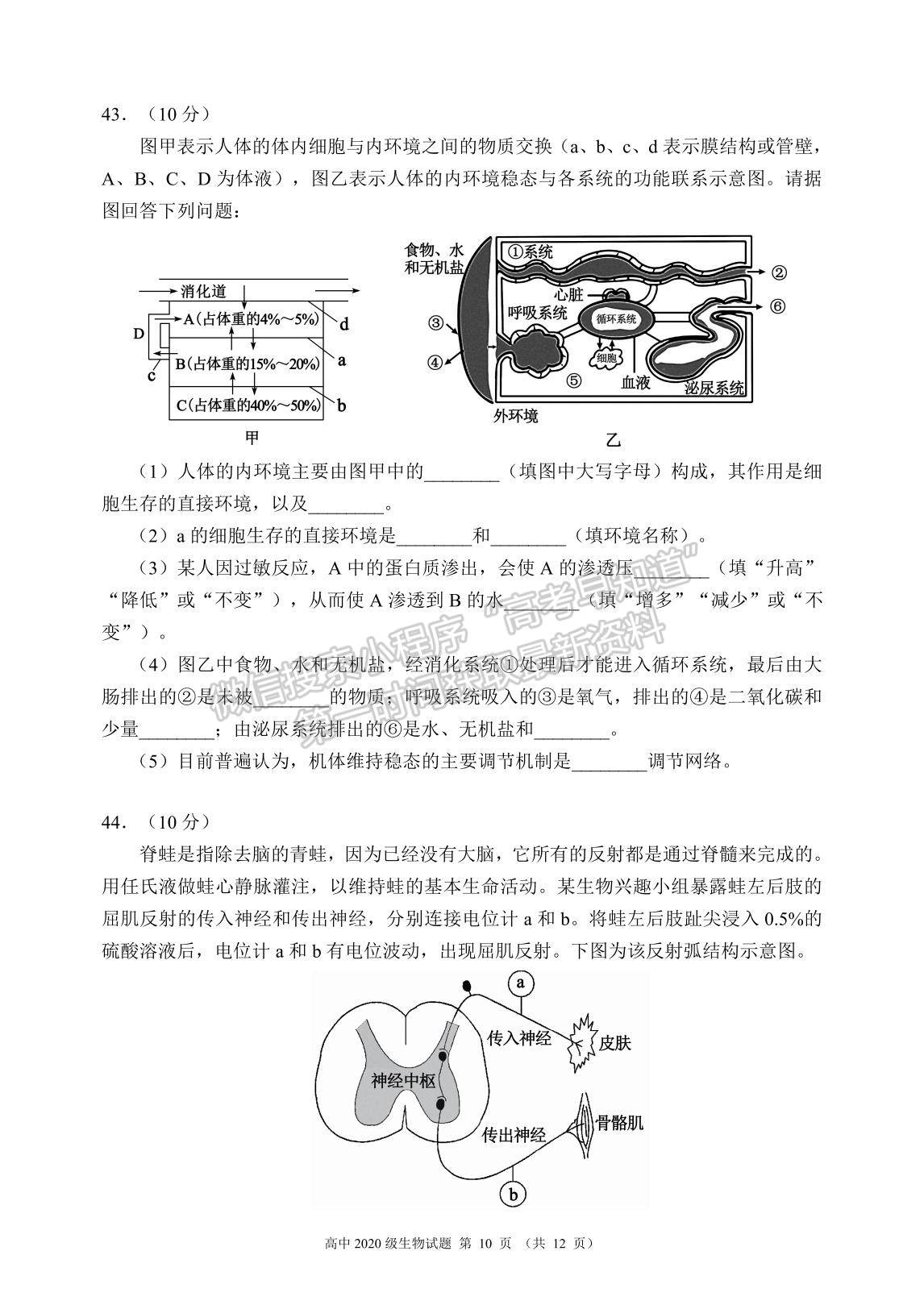 2022四川省蓉城名校聯(lián)盟高二上學(xué)期期中聯(lián)考生物試題及參考答案