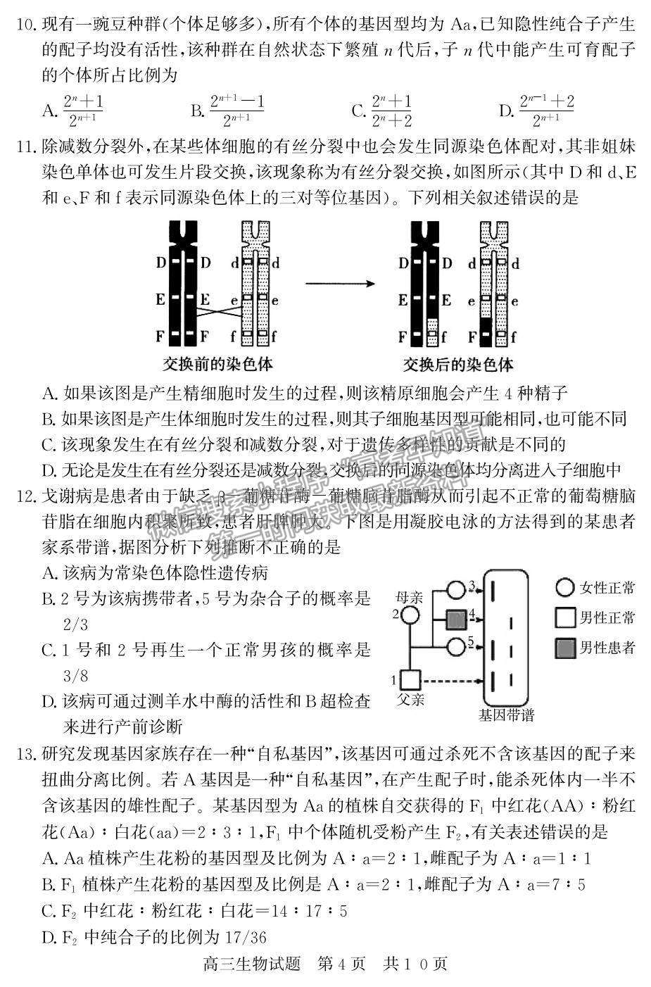 2022山東省濟(jì)寧市兗州區(qū)高三上學(xué)期期中考試生物試題及參考答案