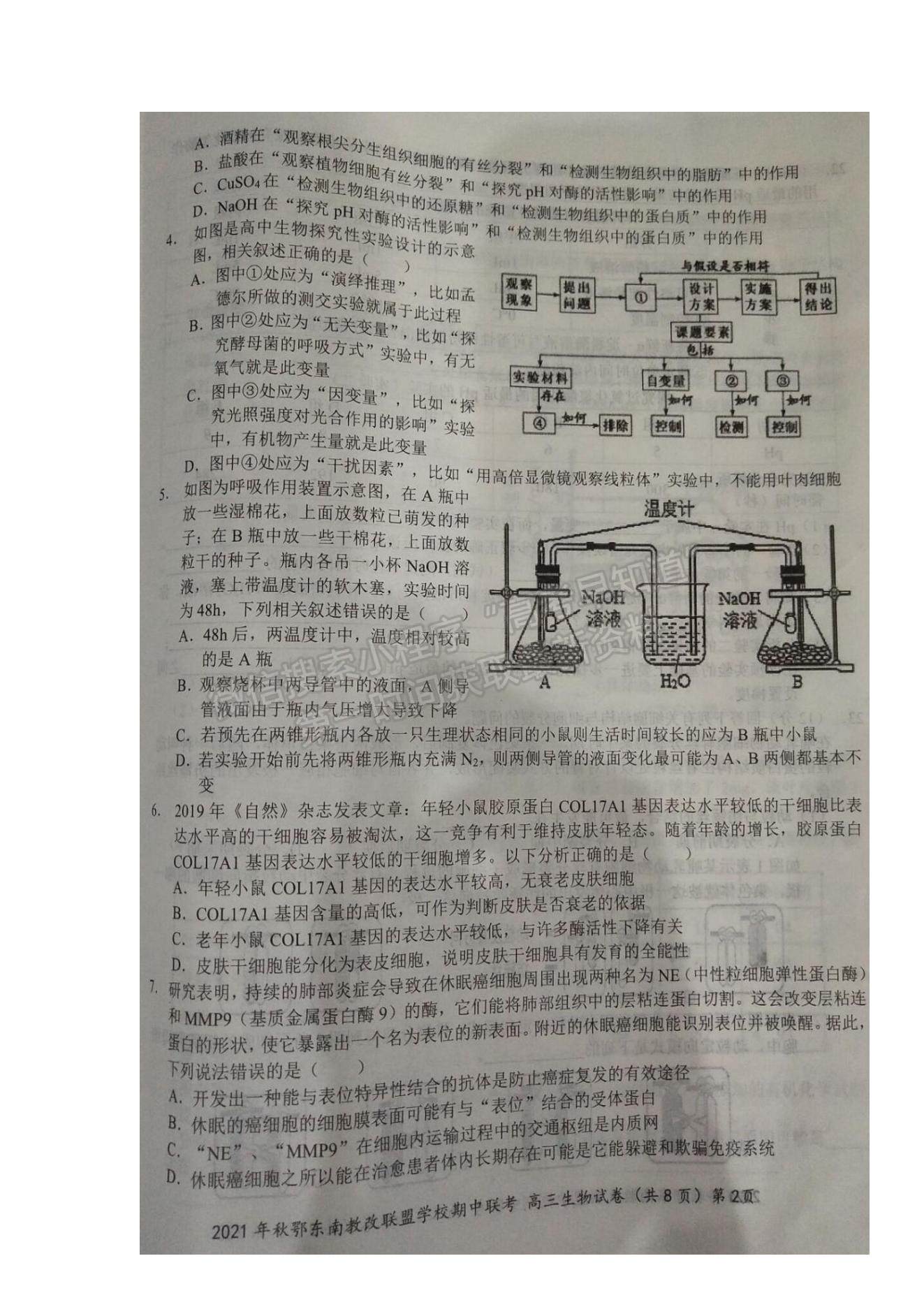 2022湖北省鄂東南省級示范高中教育教學改革聯盟學校高三上學期期中聯考生物試題及參考答案