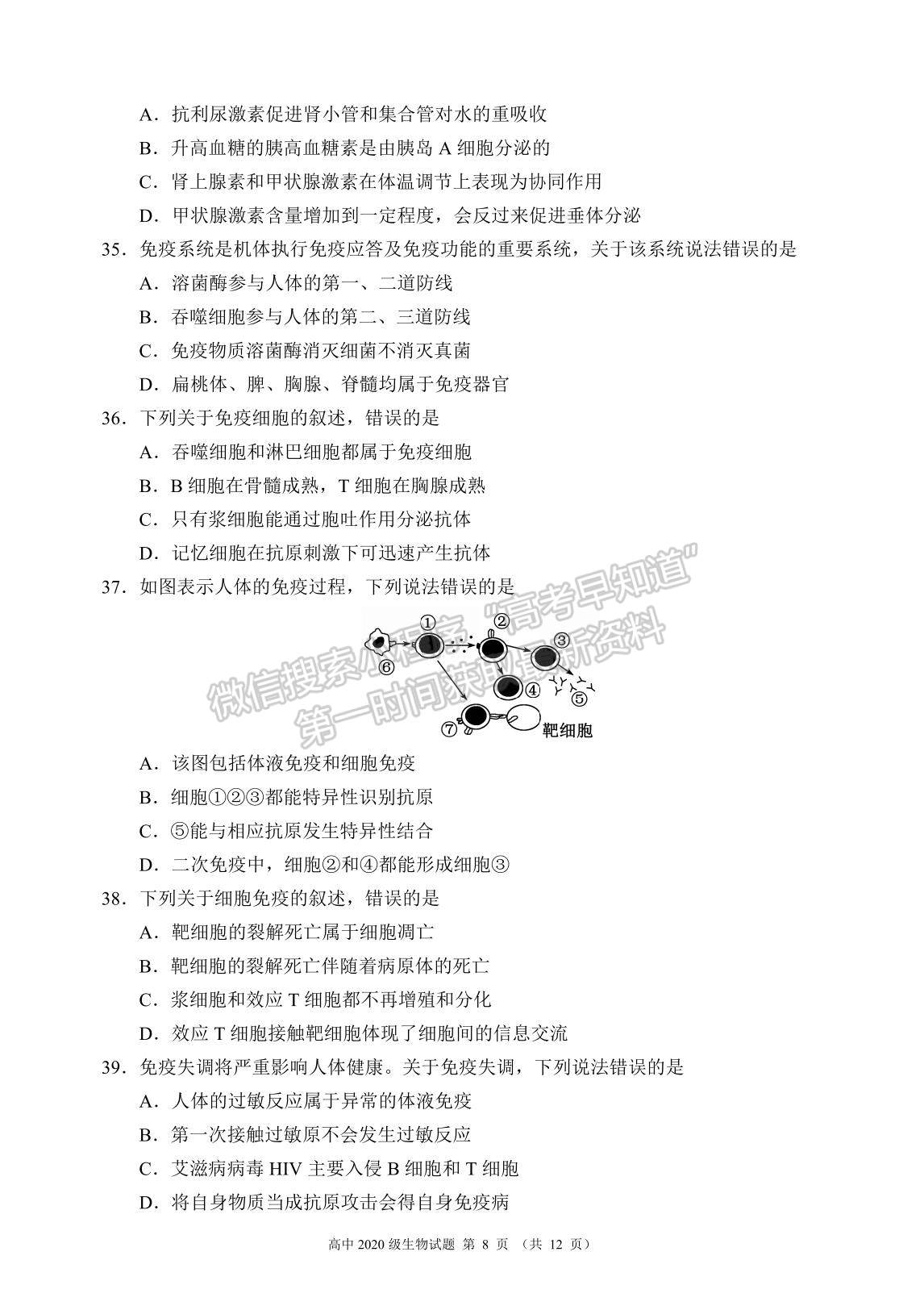 2022四川省蓉城名校聯(lián)盟高二上學(xué)期期中聯(lián)考生物試題及參考答案