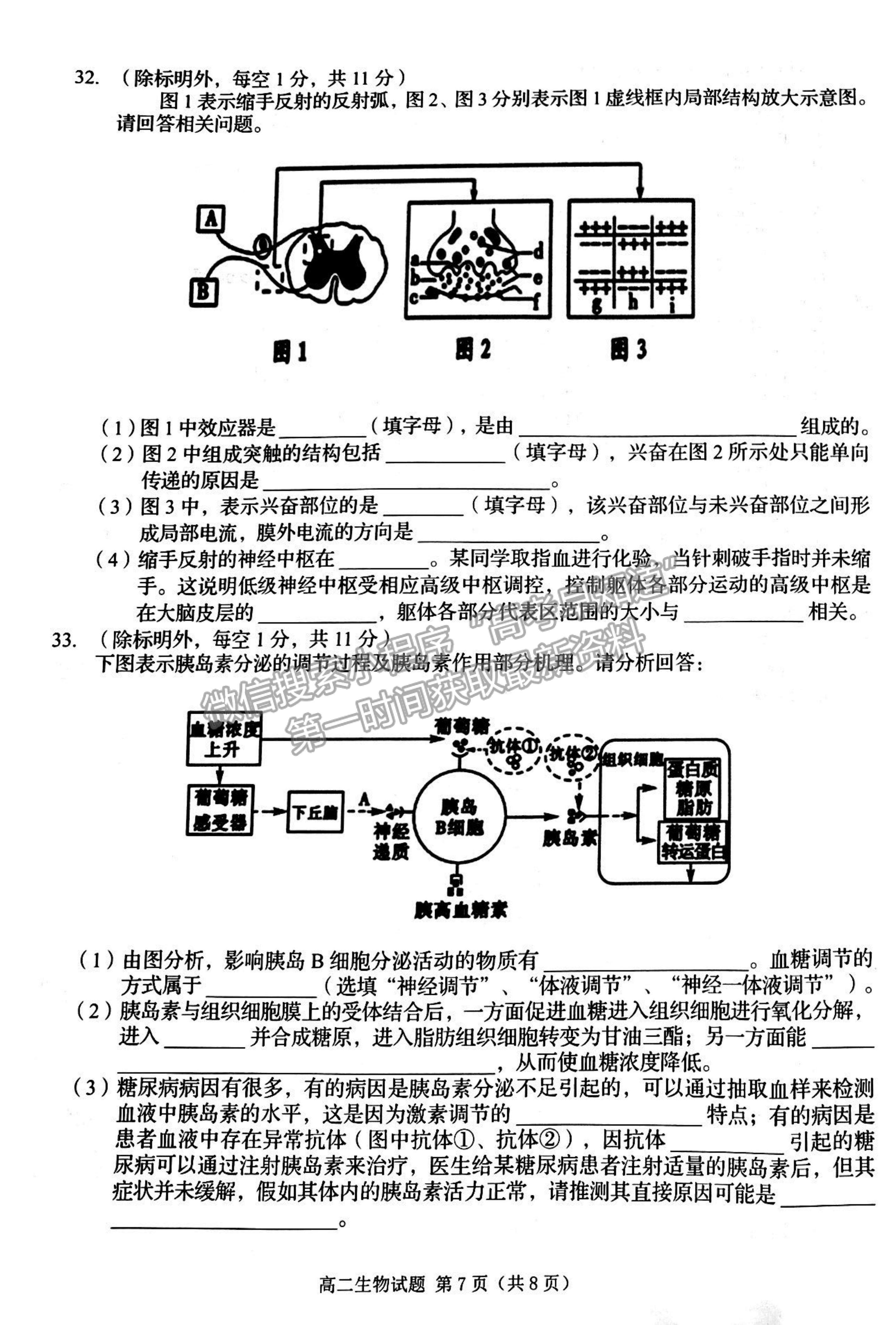 2022吉林省四平市普通高中高二上學(xué)期期中考試生物試題及參考答案