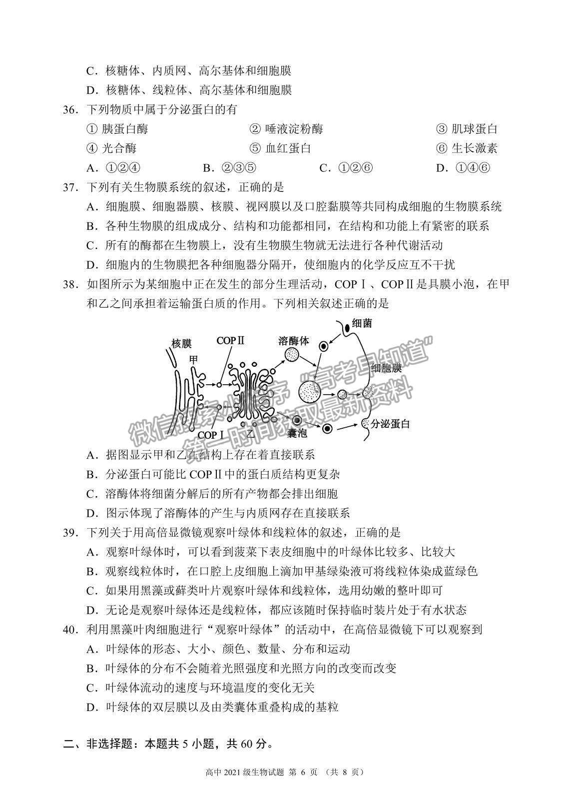 2022四川省蓉城名校聯(lián)盟高一上學(xué)期期中聯(lián)考生物試題及參考答案