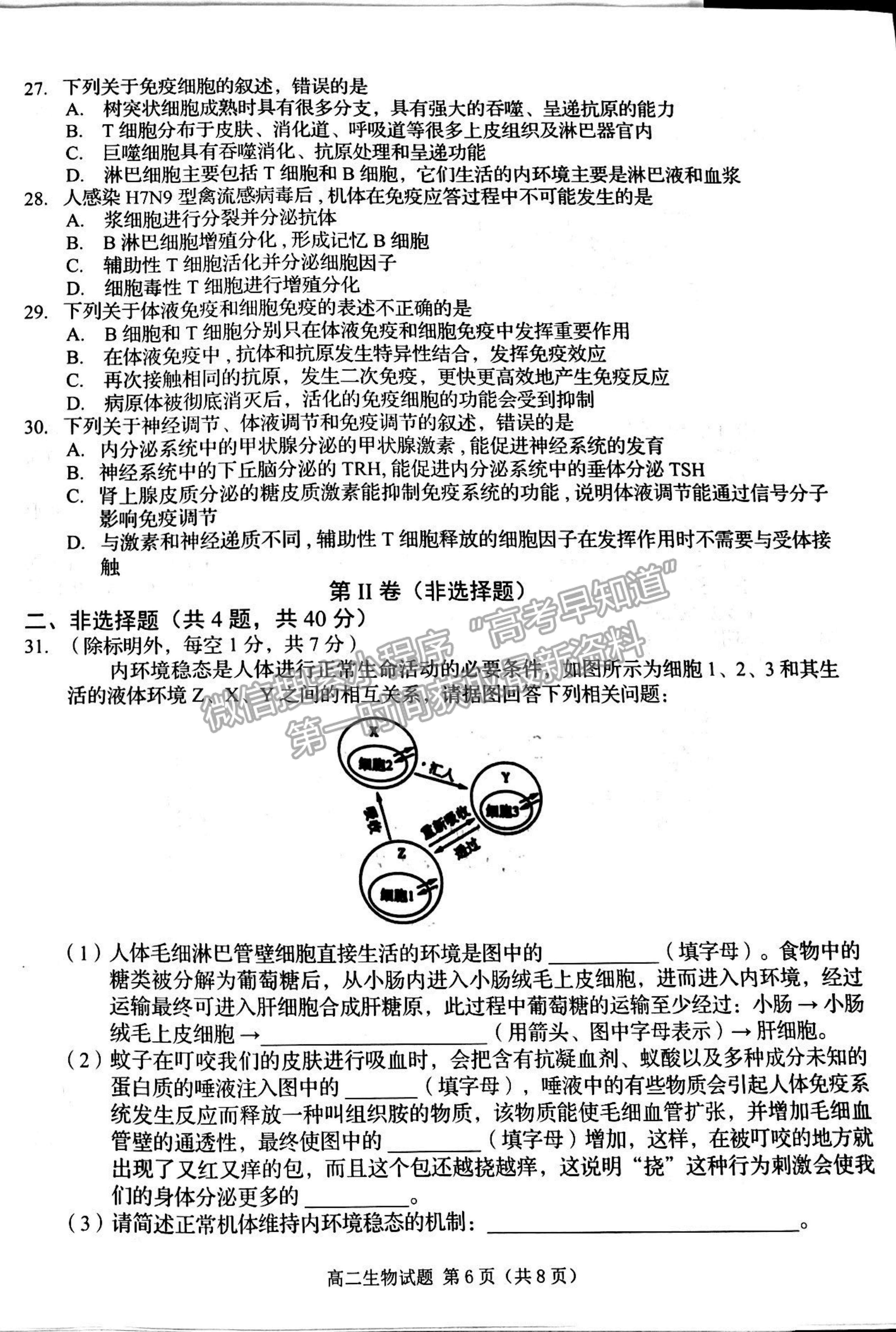 2022吉林省四平市普通高中高二上學(xué)期期中考試生物試題及參考答案