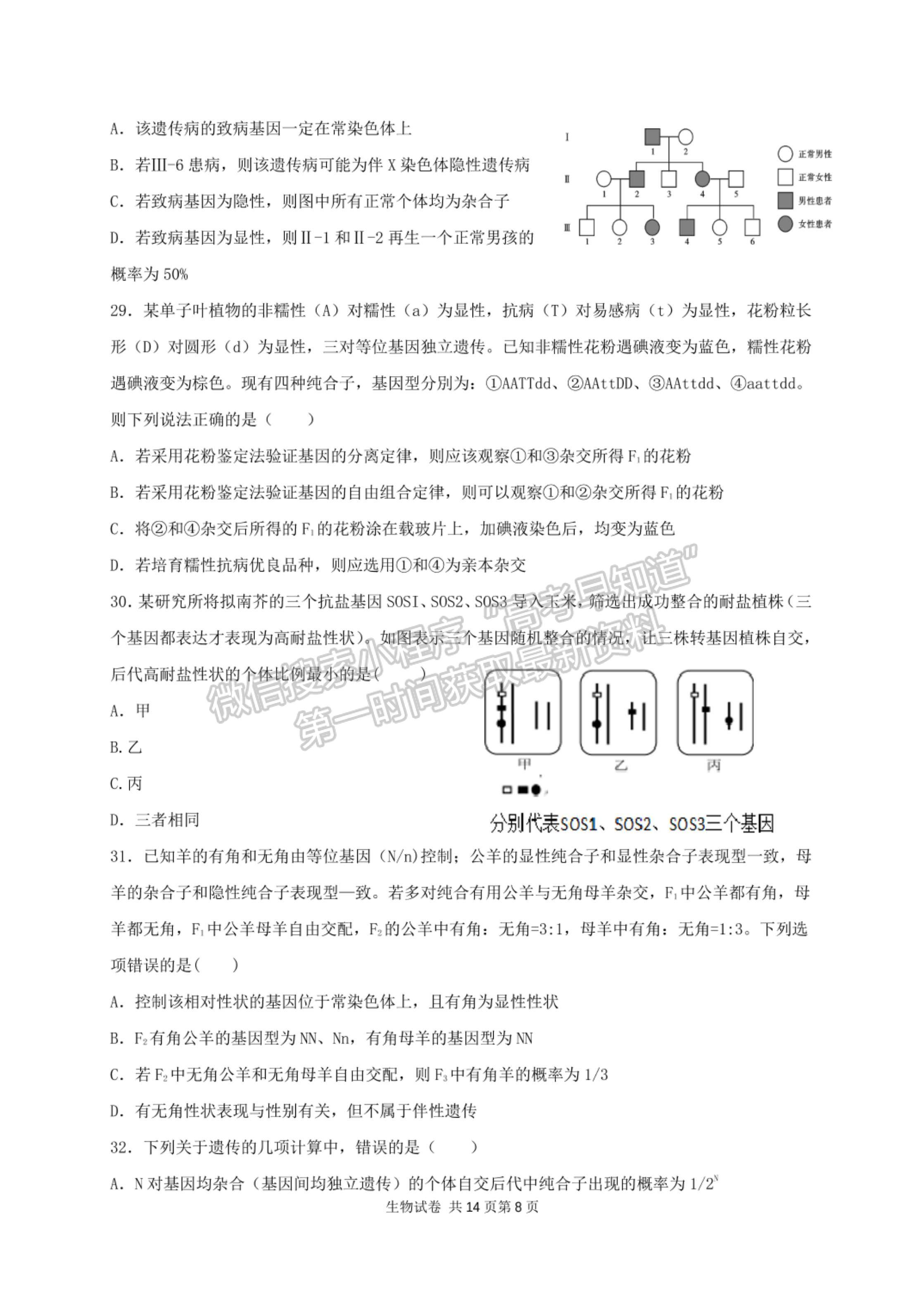 2022河南省南陽(yáng)市內(nèi)鄉(xiāng)菊潭高級(jí)中學(xué)高三上學(xué)期開(kāi)學(xué)考試生物試卷及參考答案