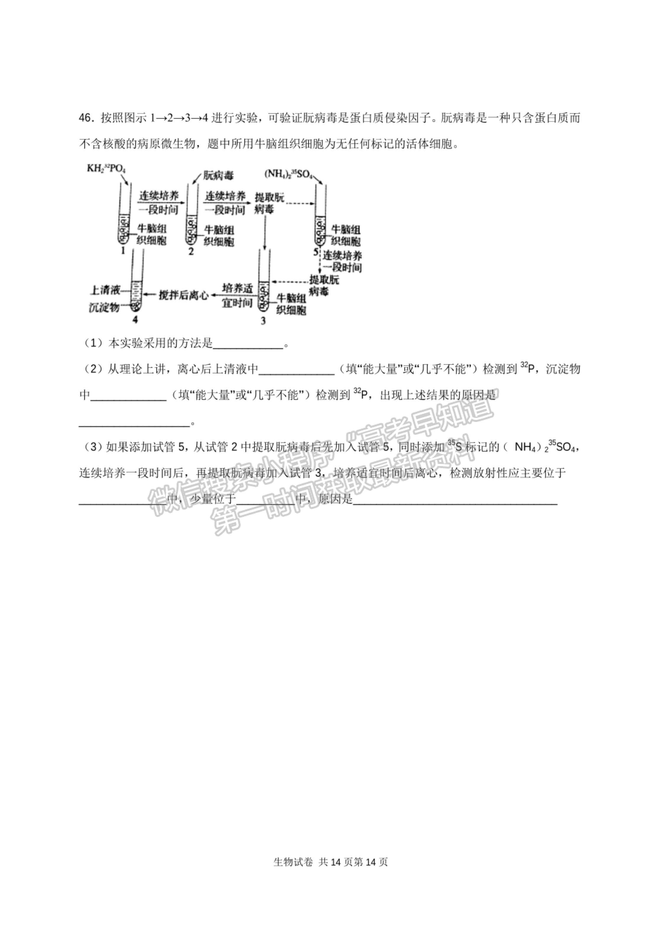 2022河南省南陽市內(nèi)鄉(xiāng)菊潭高級(jí)中學(xué)高三上學(xué)期開學(xué)考試生物試卷及參考答案