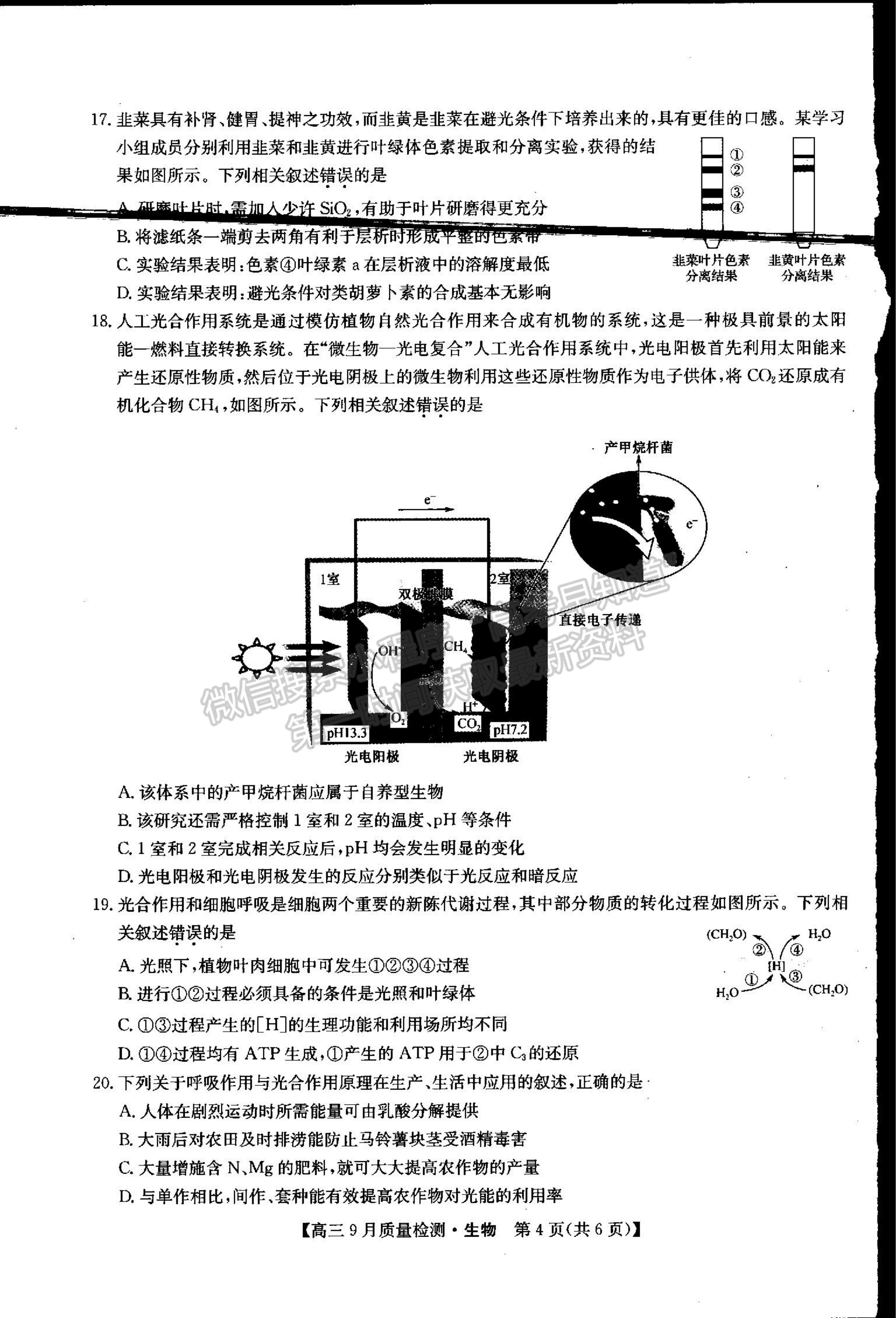 2022河南省信陽市第二高級中學(xué)高三上學(xué)期9月質(zhì)量檢測生物試卷及參考答案