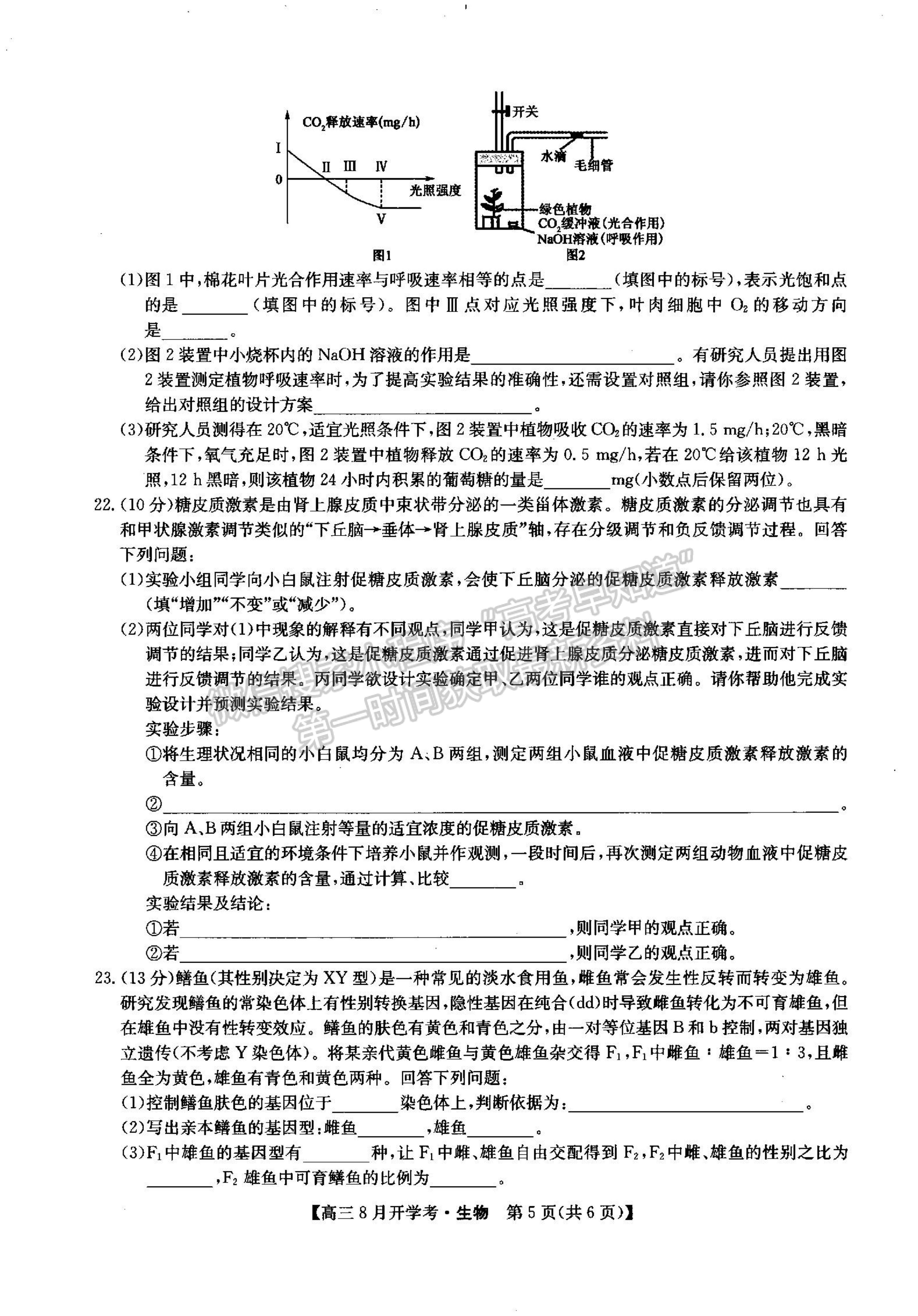 2022河南省信陽(yáng)市第二高級(jí)中學(xué)高三上學(xué)期開(kāi)學(xué)考生物試卷及參考答案