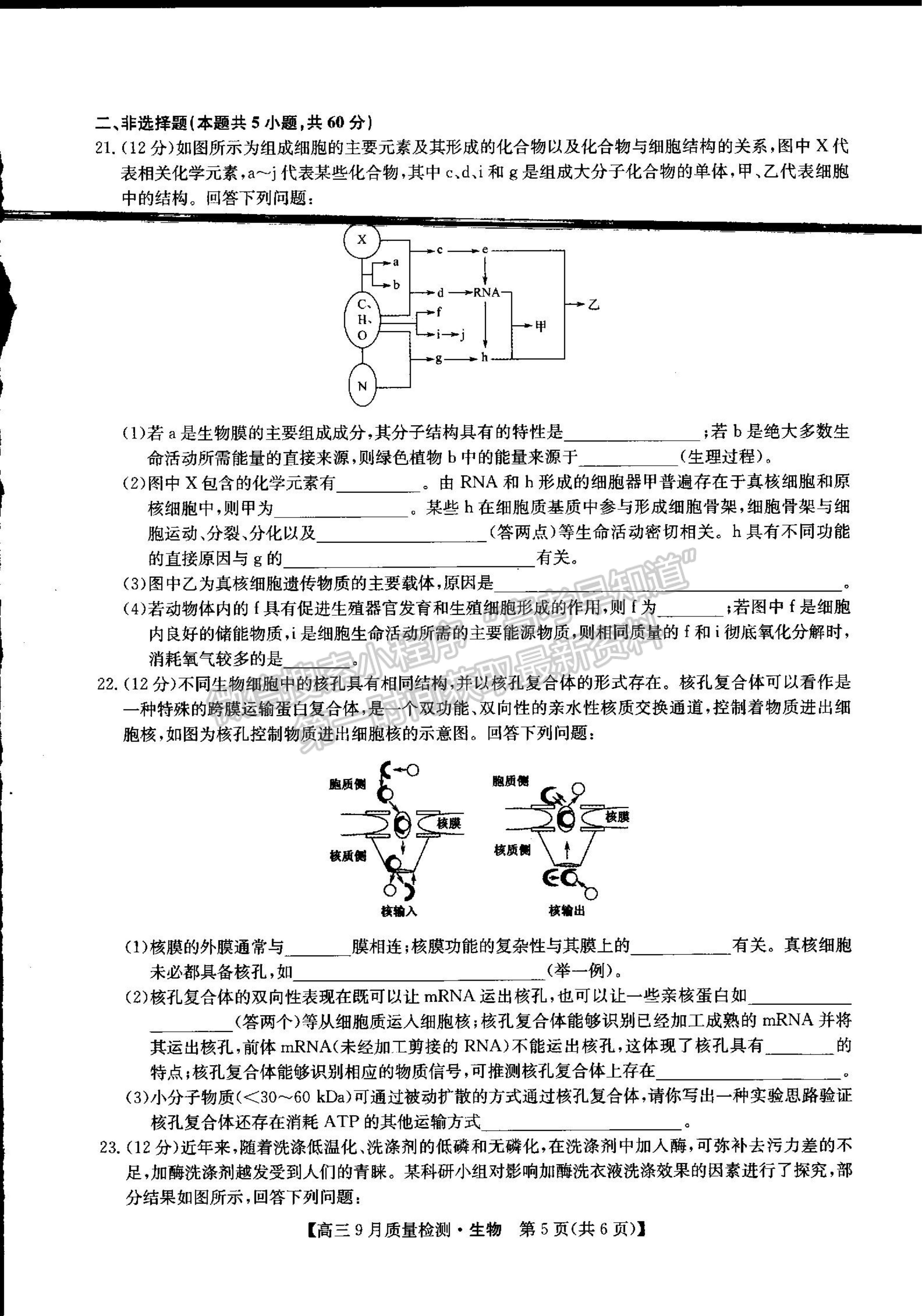 2022河南省信陽市第二高級(jí)中學(xué)高三上學(xué)期9月質(zhì)量檢測(cè)生物試卷及參考答案