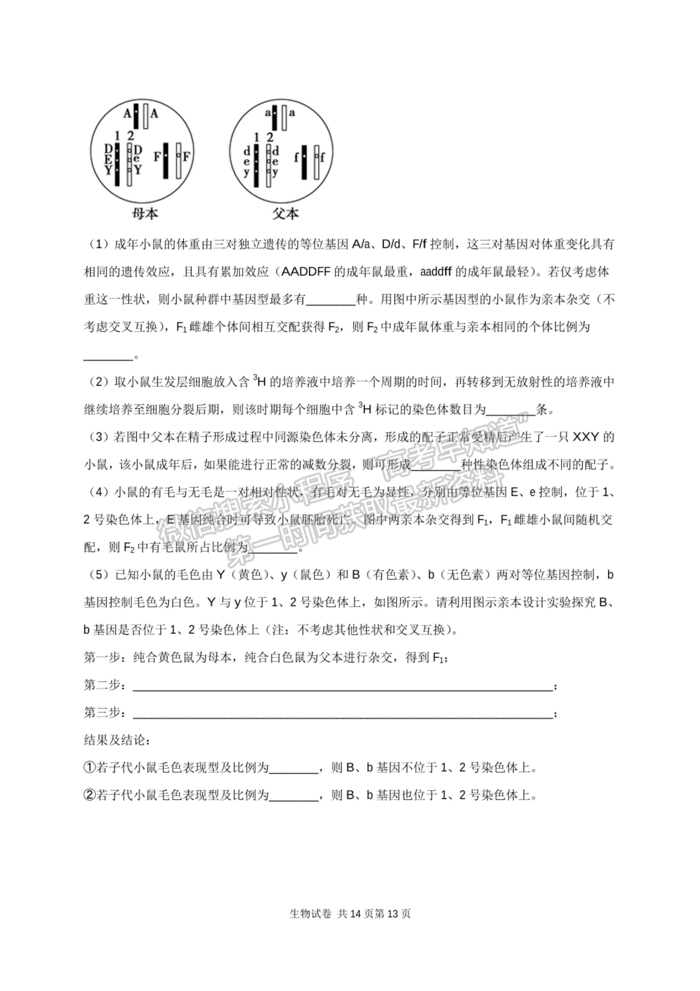 2022河南省南陽市內(nèi)鄉(xiāng)菊潭高級(jí)中學(xué)高三上學(xué)期開學(xué)考試生物試卷及參考答案