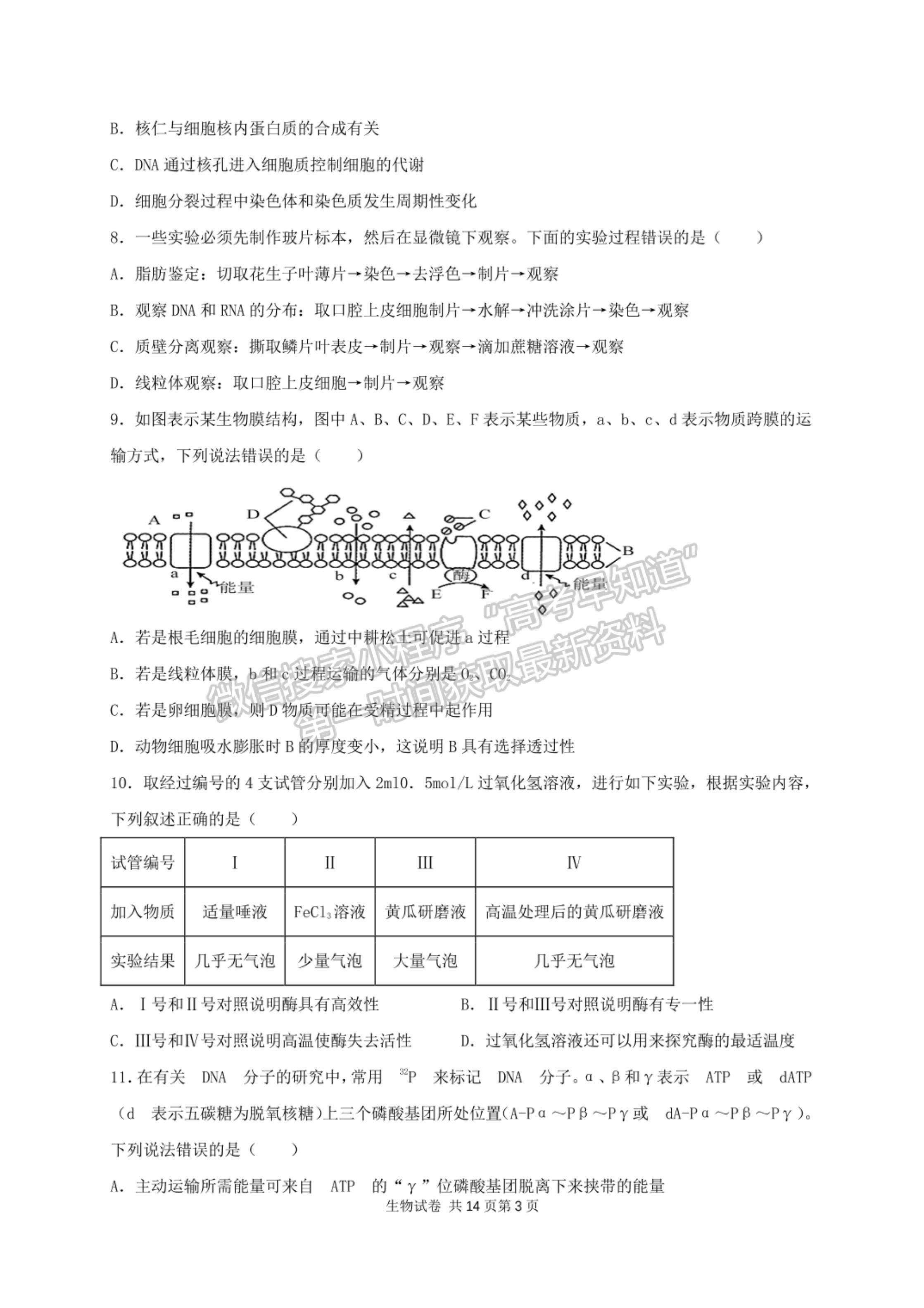 2022河南省南陽市內(nèi)鄉(xiāng)菊潭高級中學(xué)高三上學(xué)期開學(xué)考試生物試卷及參考答案