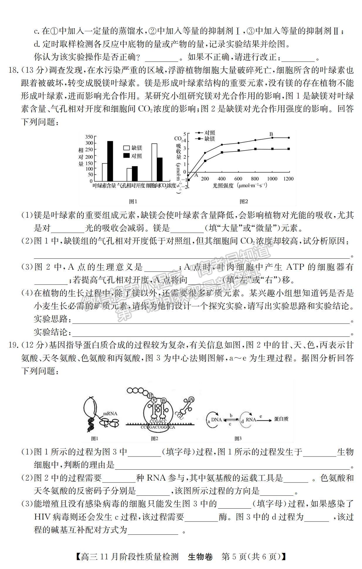 2022廣東省普通高中高三11月階段性質(zhì)量檢測(cè)生物試題及參考答案