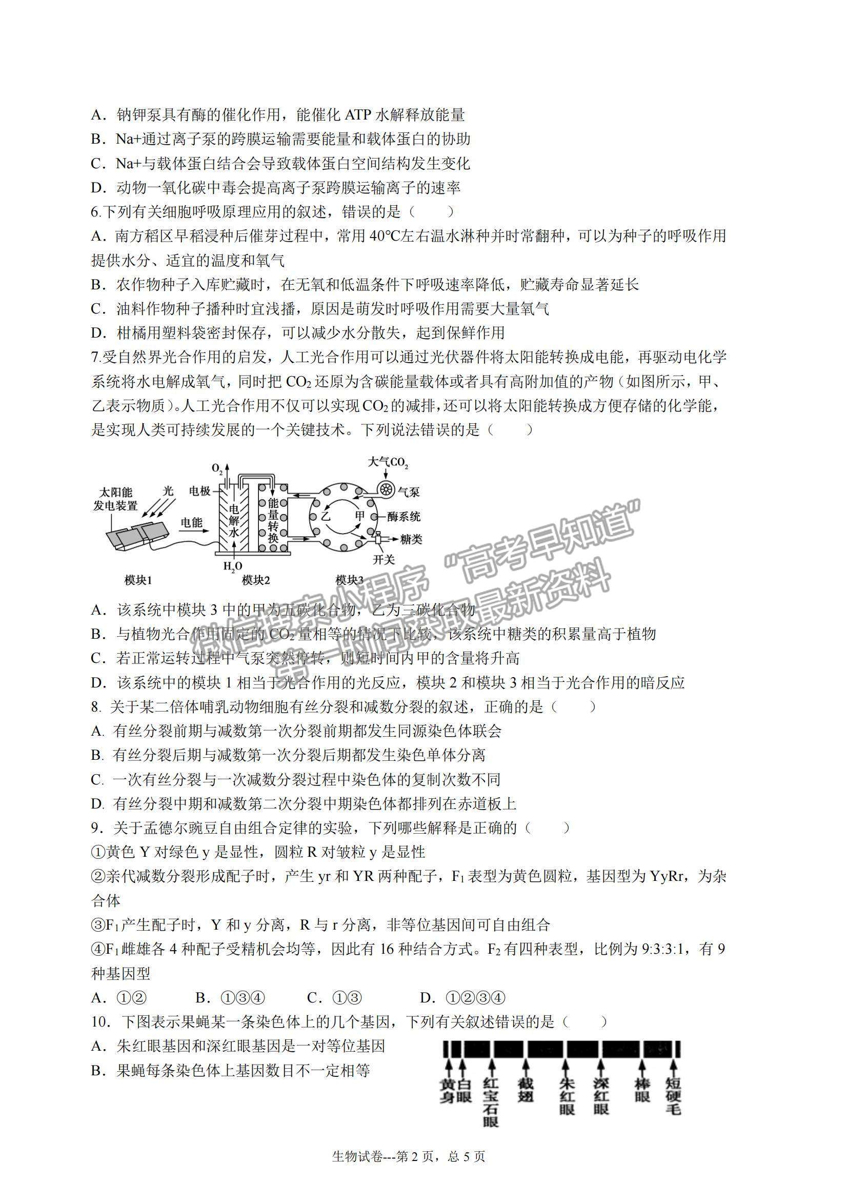 2022湖南省长沙市明达中学高二上学期入学考试生物试卷及参考答案