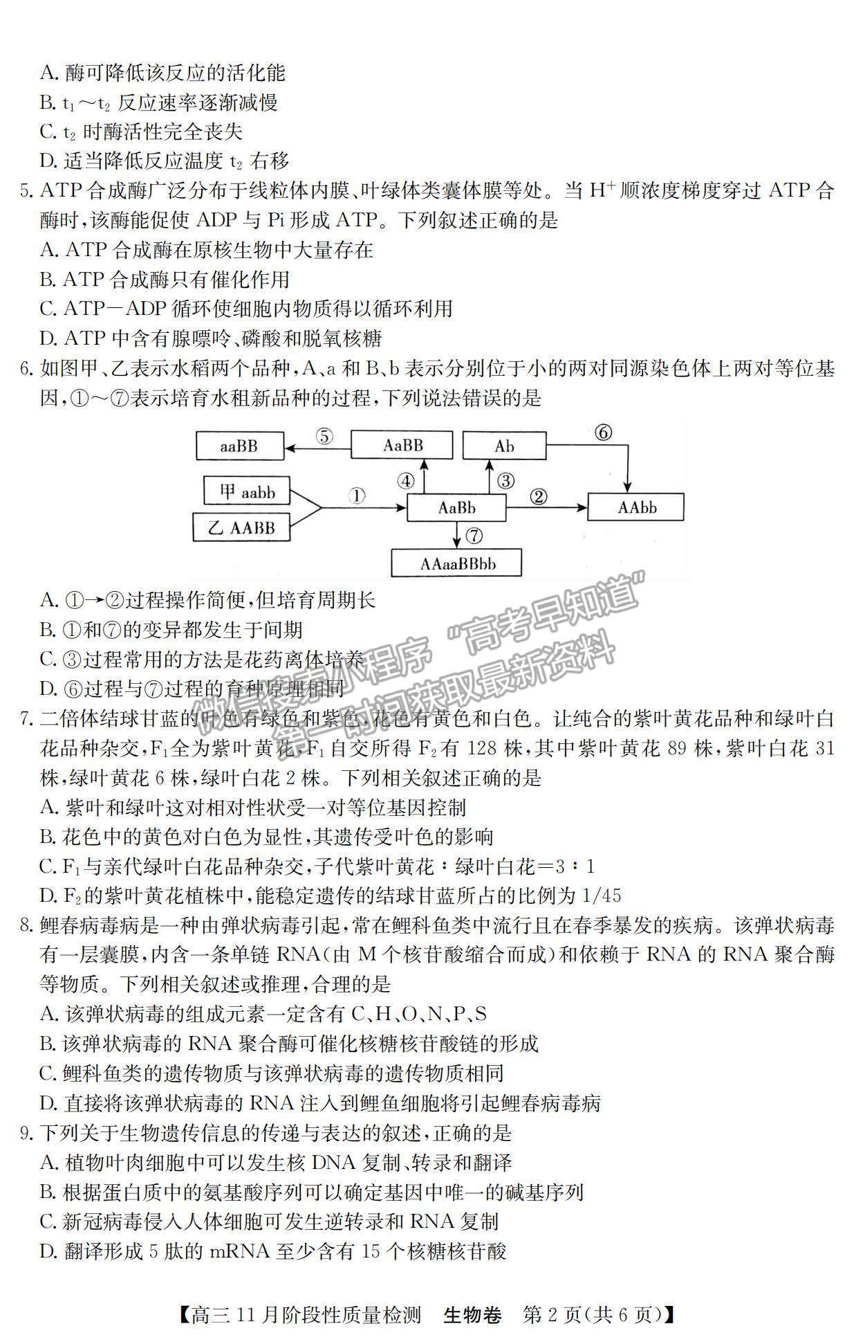 2022廣東省普通高中高三11月階段性質量檢測生物試題及參考答案