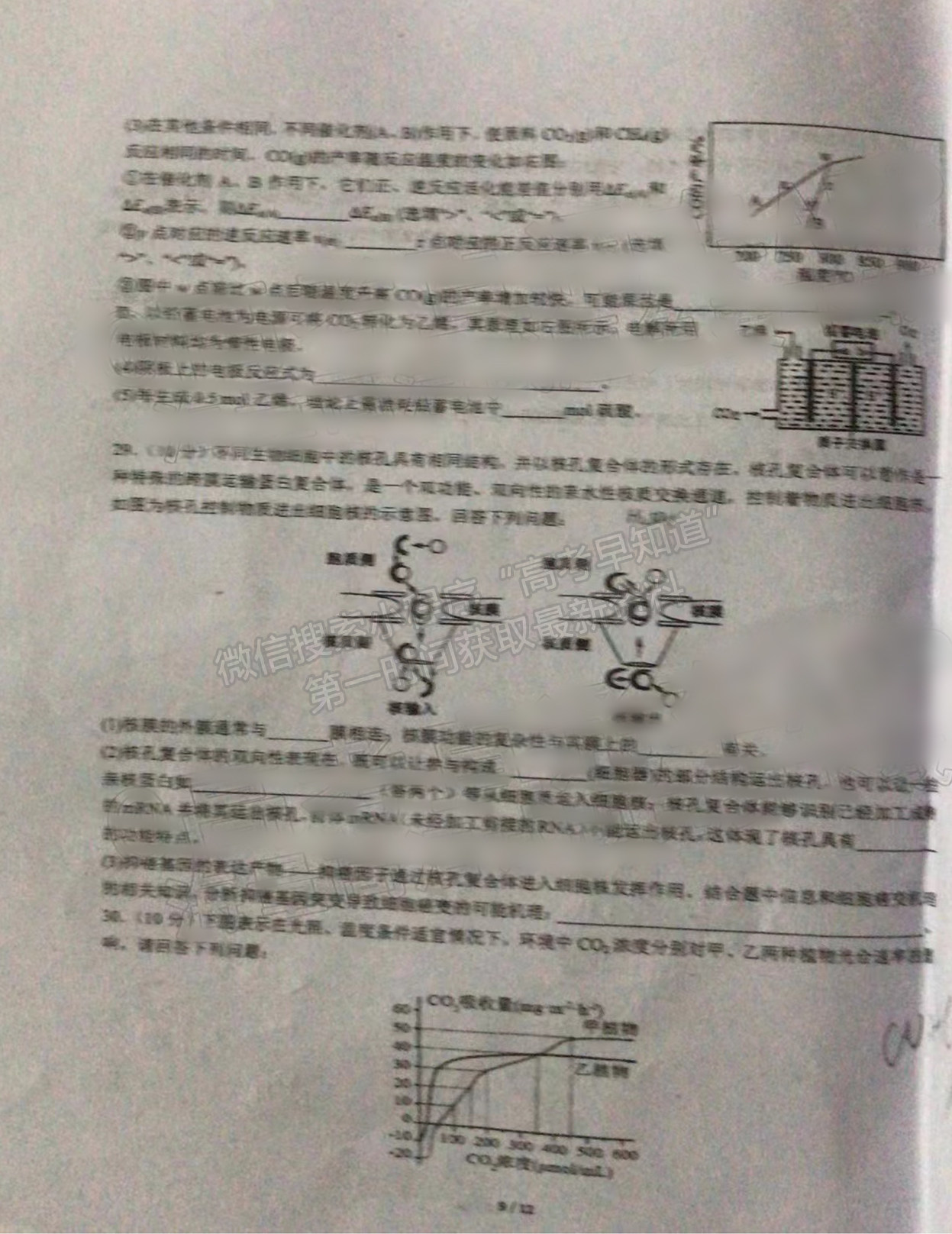 2022成都七中高三半期考試?yán)砜凭C合試題及答案