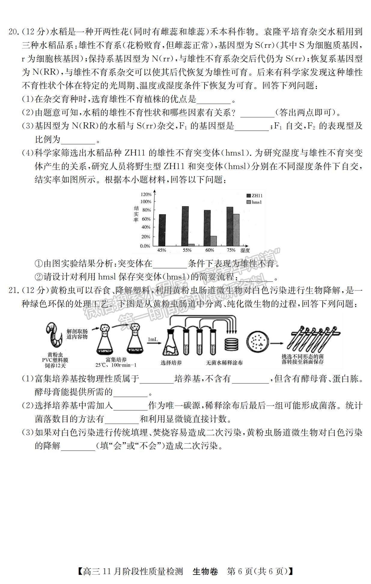 2022廣東省普通高中高三11月階段性質(zhì)量檢測(cè)生物試題及參考答案