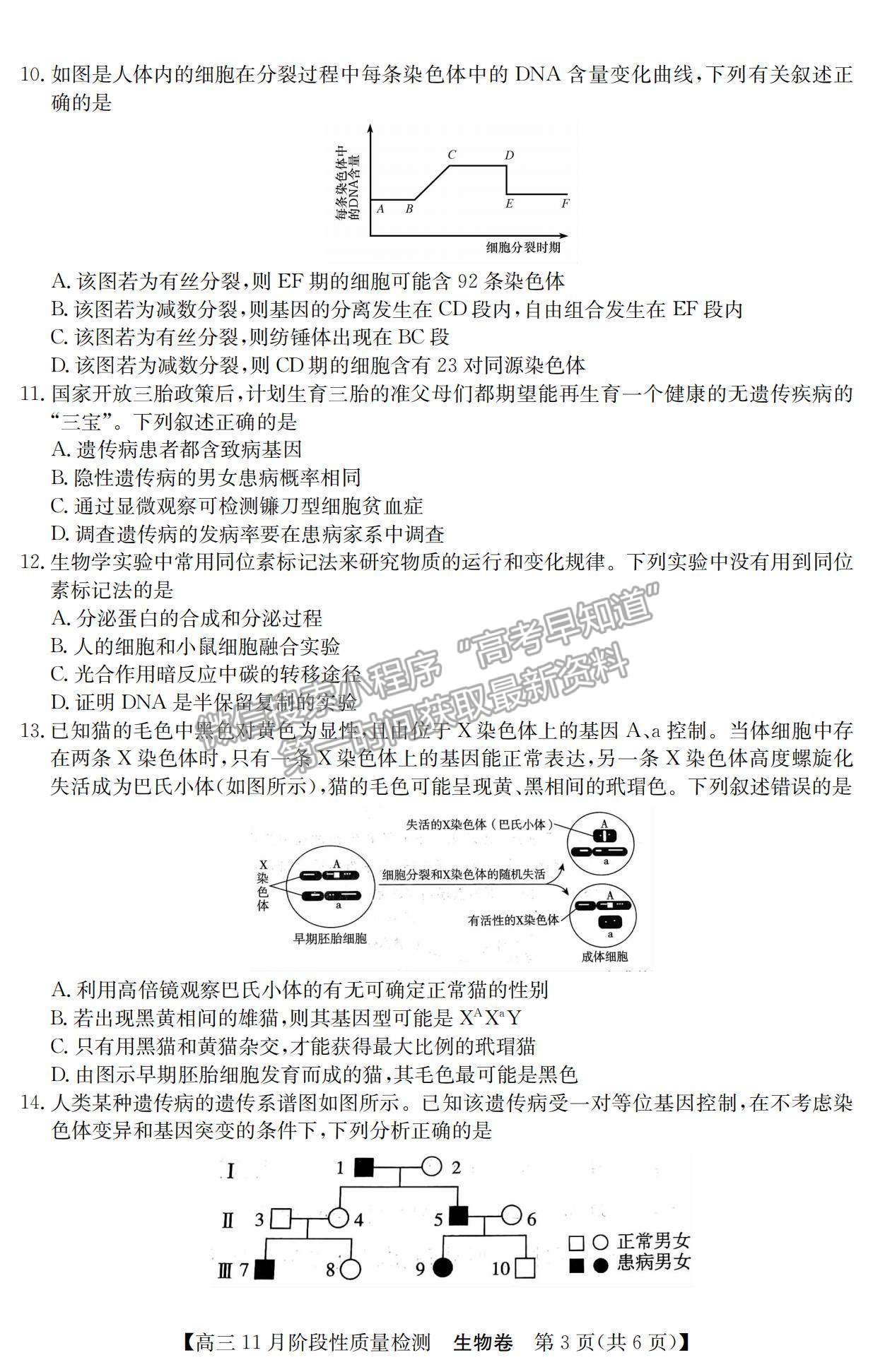 2022廣東省普通高中高三11月階段性質(zhì)量檢測生物試題及參考答案