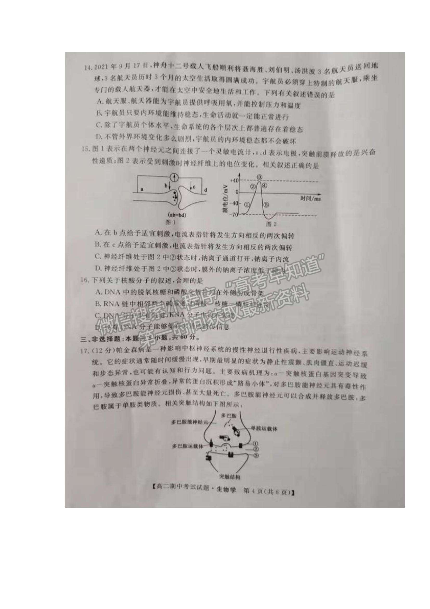 2022湖南省三湘名校教育聯盟高二上學期期中考試生物試卷及參考答案