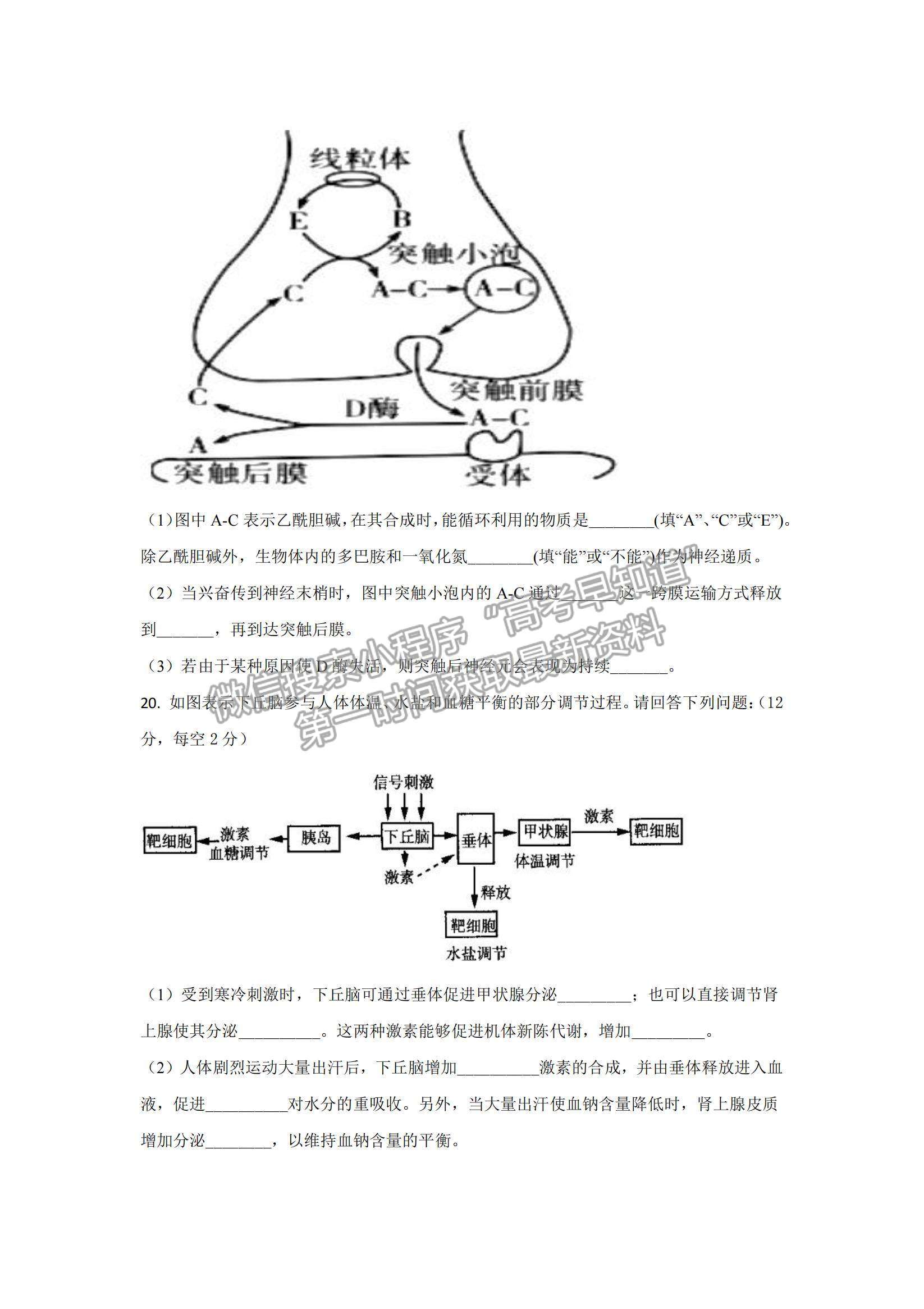 2022湖南省懷化市第五中學高二上學期期中考試生物試卷及參考答案