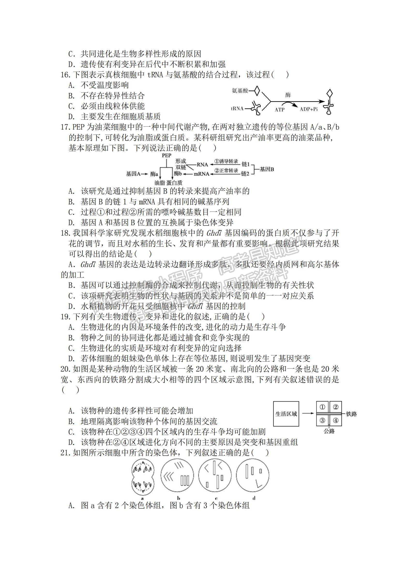 2022黑龍江省八校高三上學(xué)期期中聯(lián)合考試生物試卷及參考答案