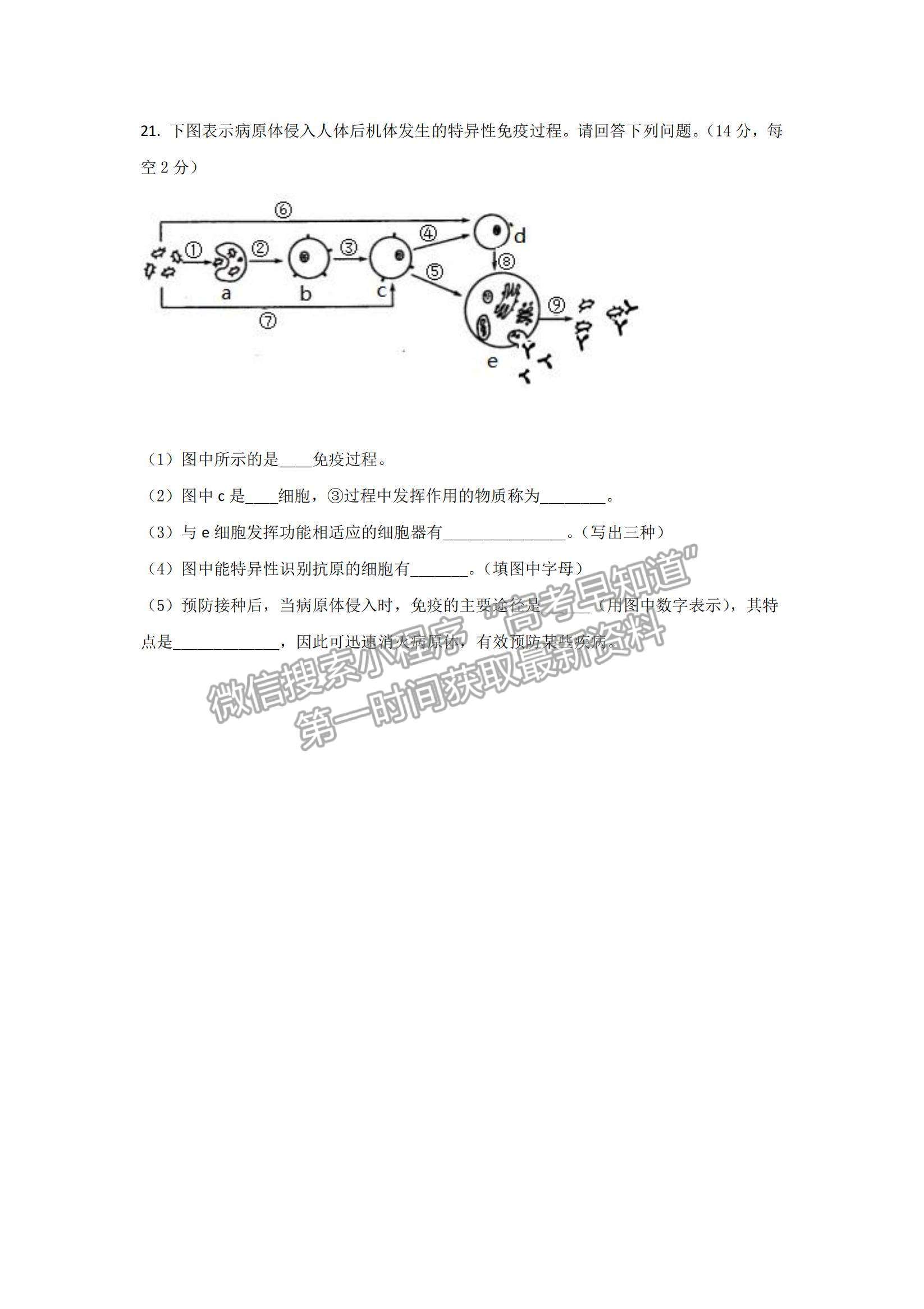 2022湖南省懷化市第五中學高二上學期期中考試生物試卷及參考答案