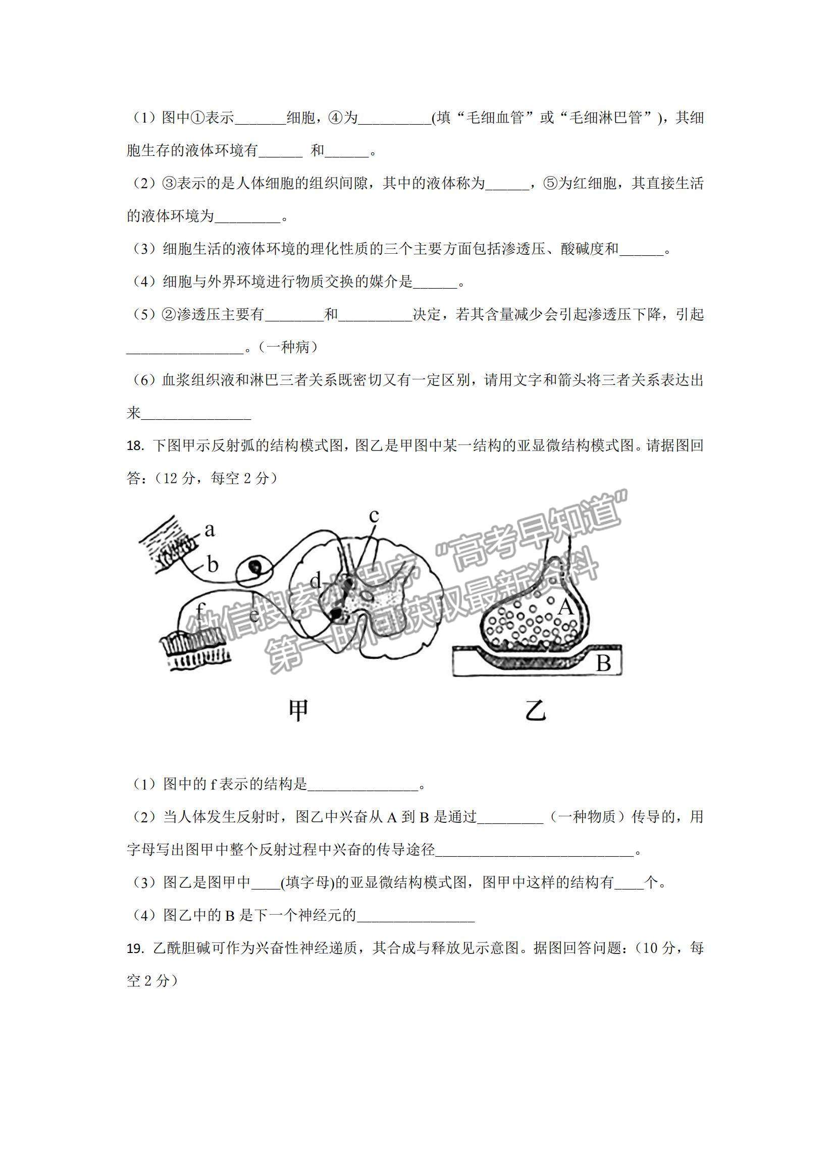 2022湖南省懷化市第五中學(xué)高二上學(xué)期期中考試生物試卷及參考答案