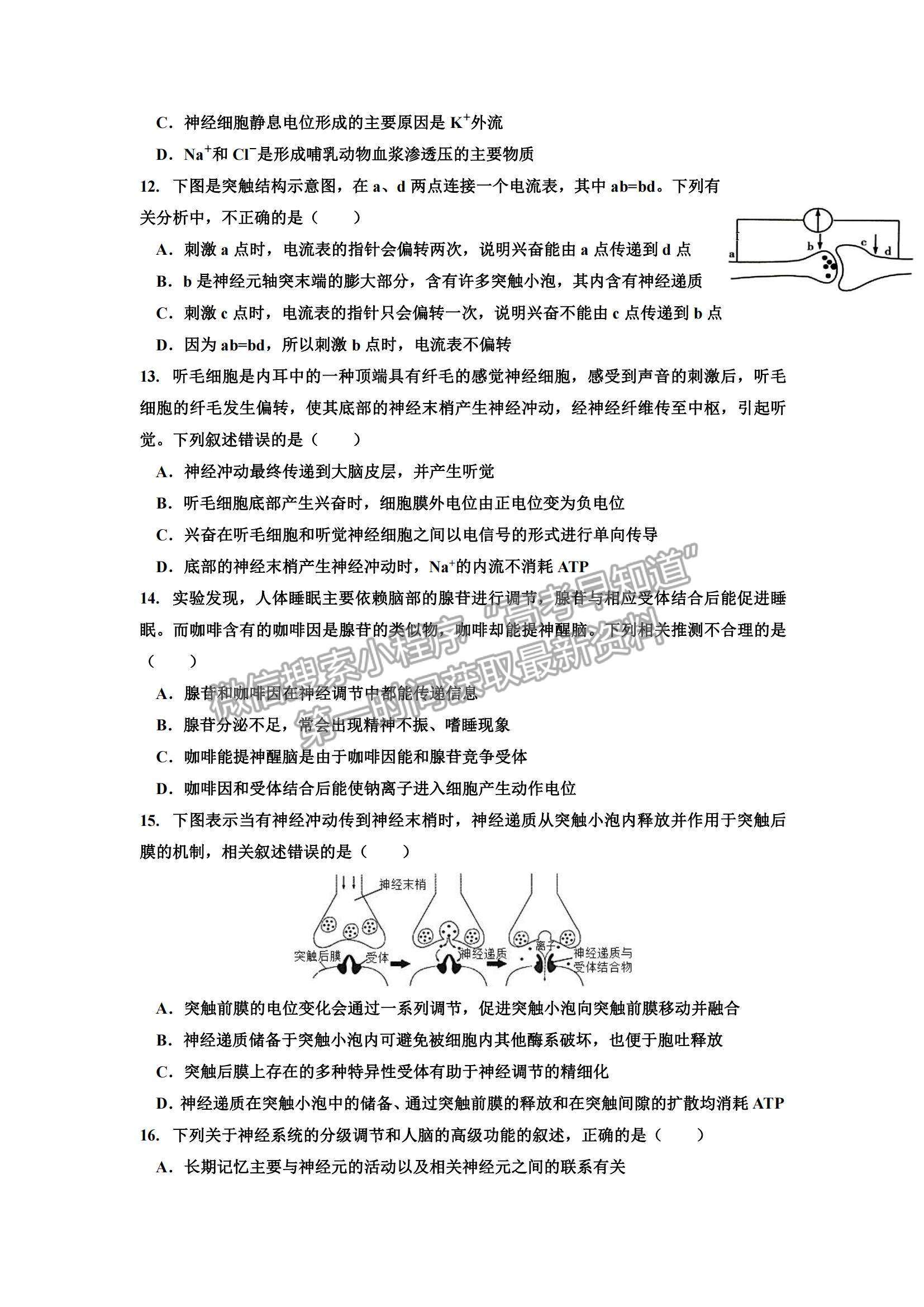 2022四川省樂山市十校高二上學期期中考試生物試卷及參考答案