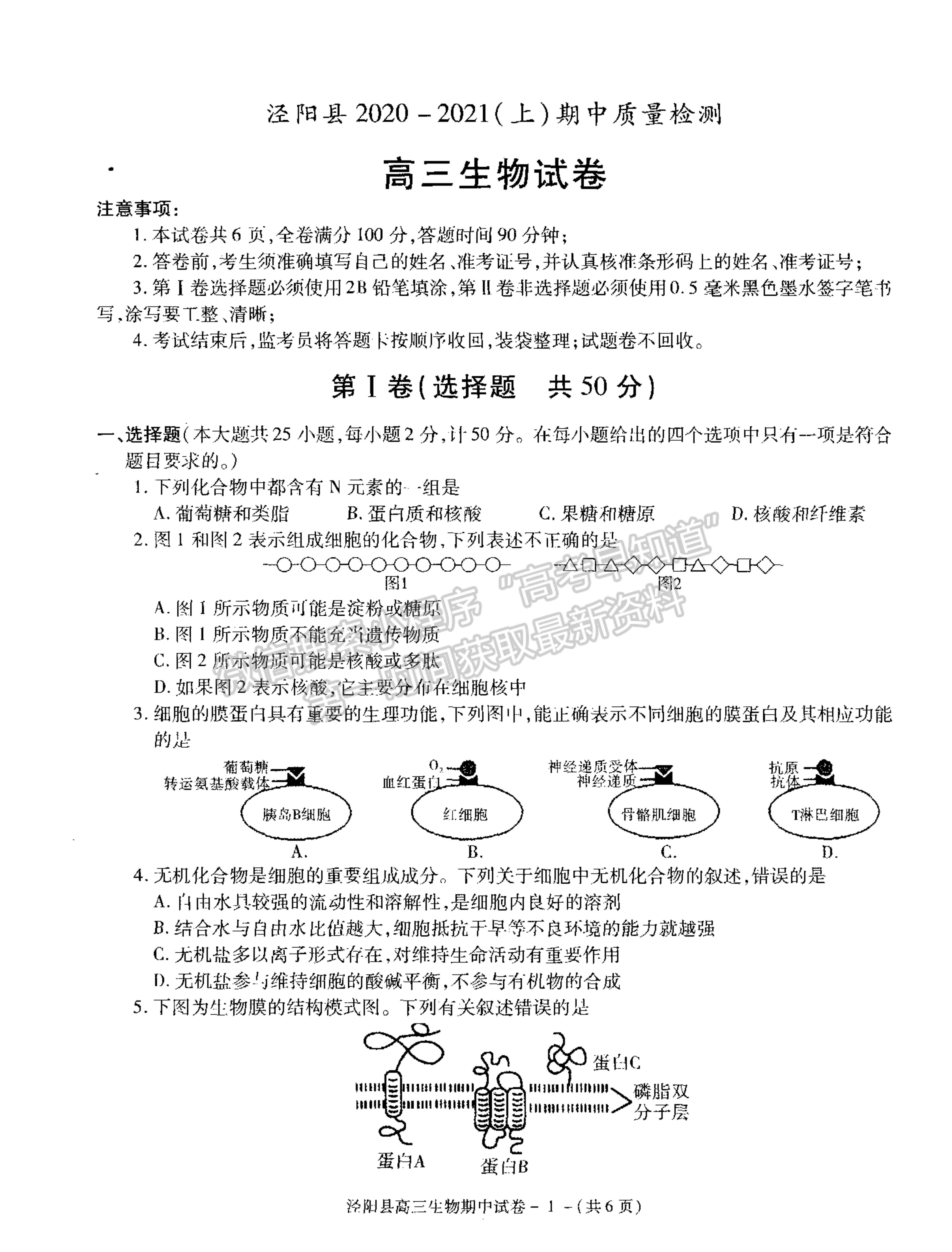 2021陜西省涇陽(yáng)縣高三上學(xué)期期中考試生物試卷及參考答案