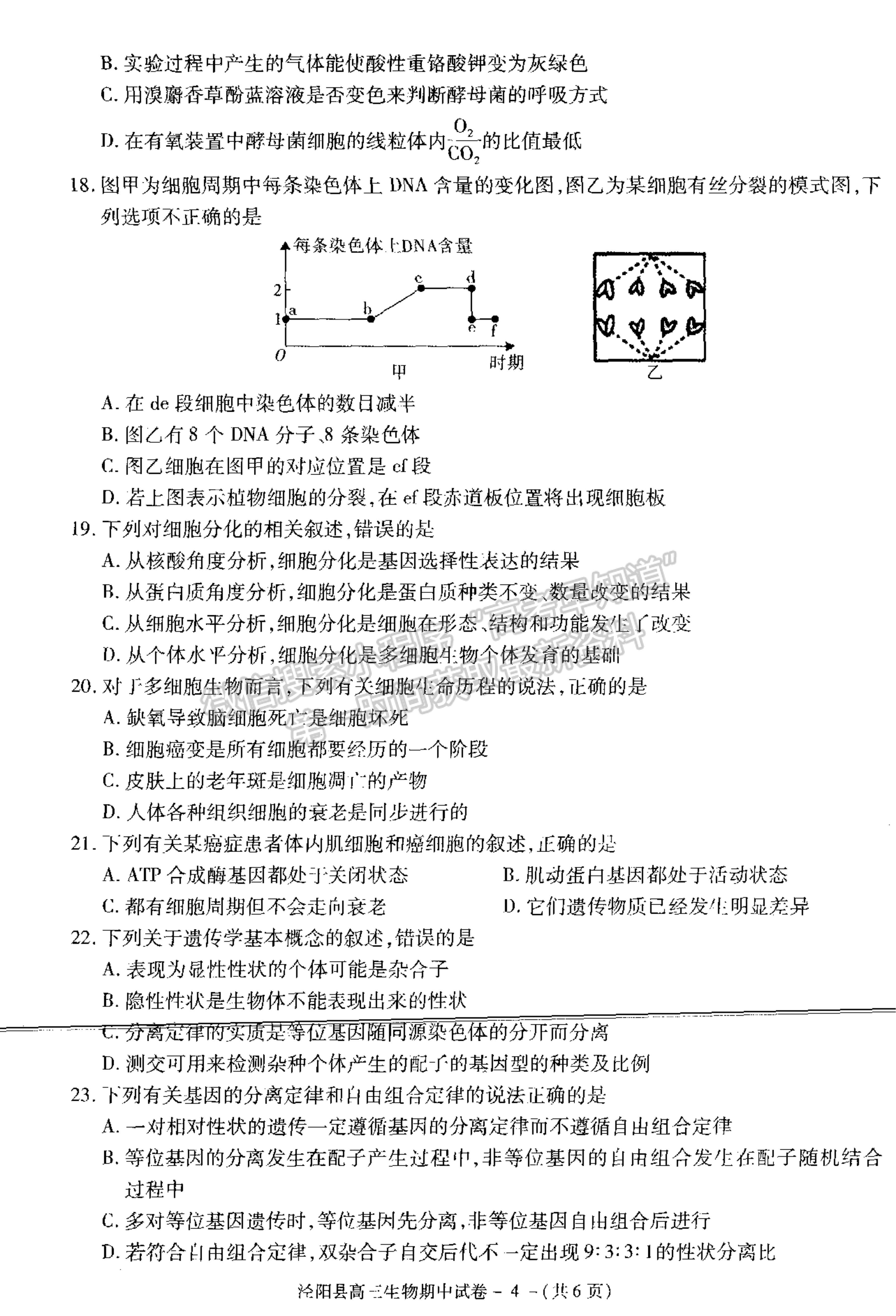 2021陜西省涇陽縣高三上學期期中考試生物試卷及參考答案