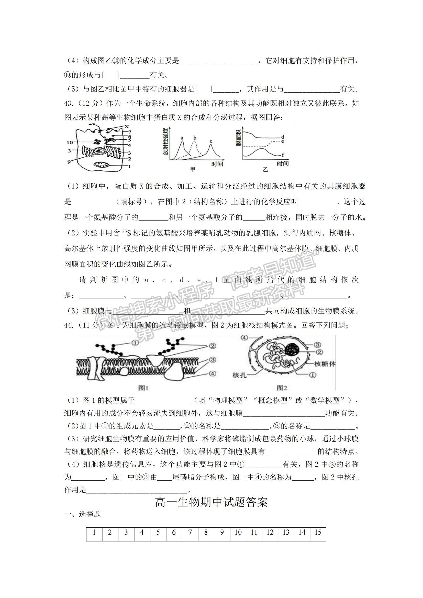 2022黑龙江省八校高一上学期期中联合考试生物试卷及参考答案