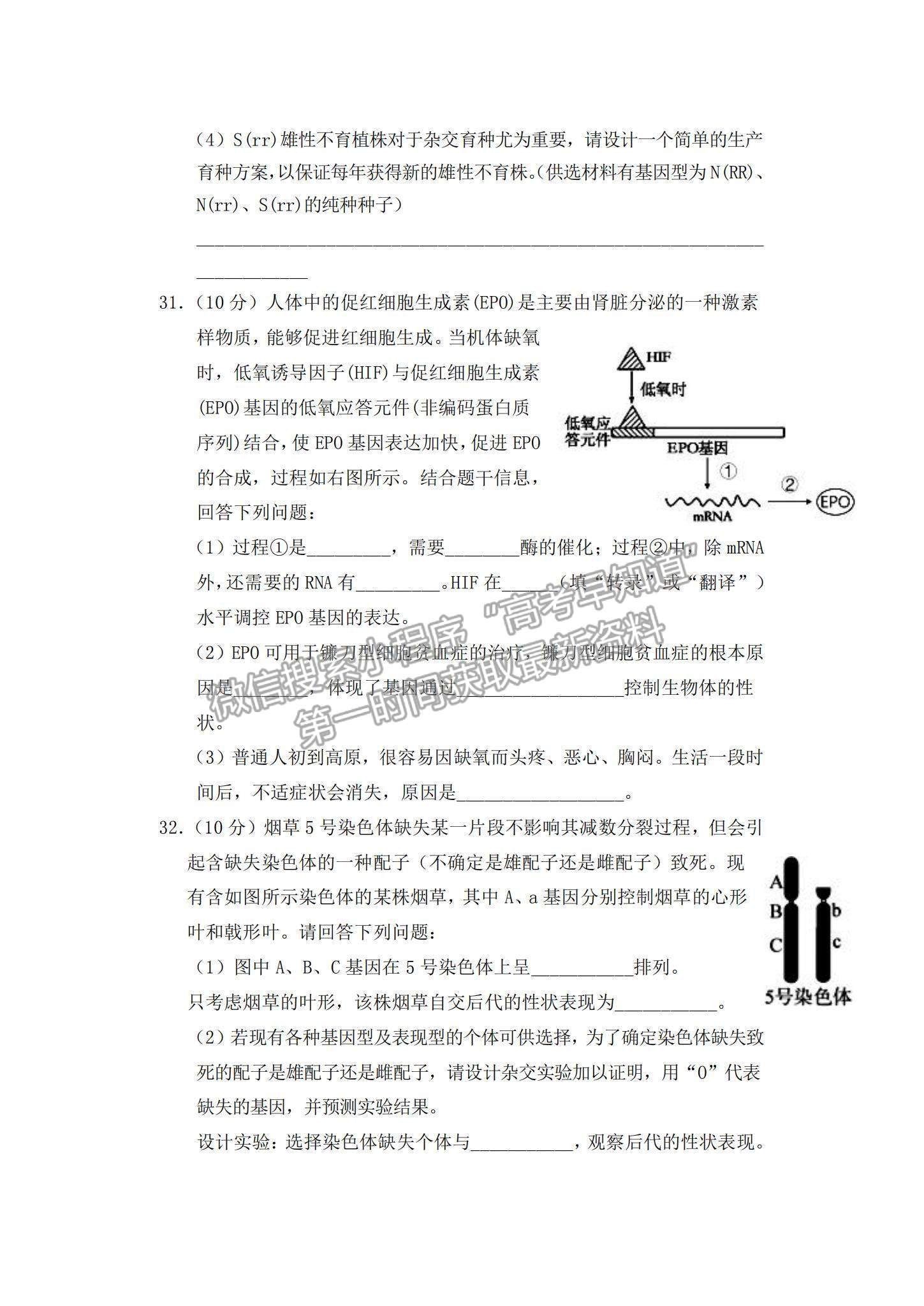 2022四川省仁壽縣高三上學期零診考試理綜試卷及參考答案