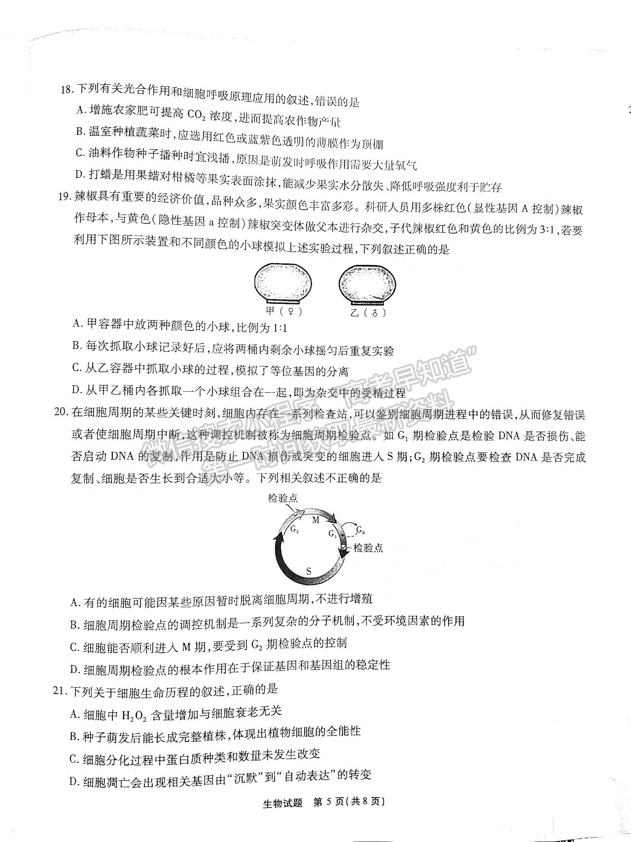 2022江淮十校第二次联考生物试卷及答案