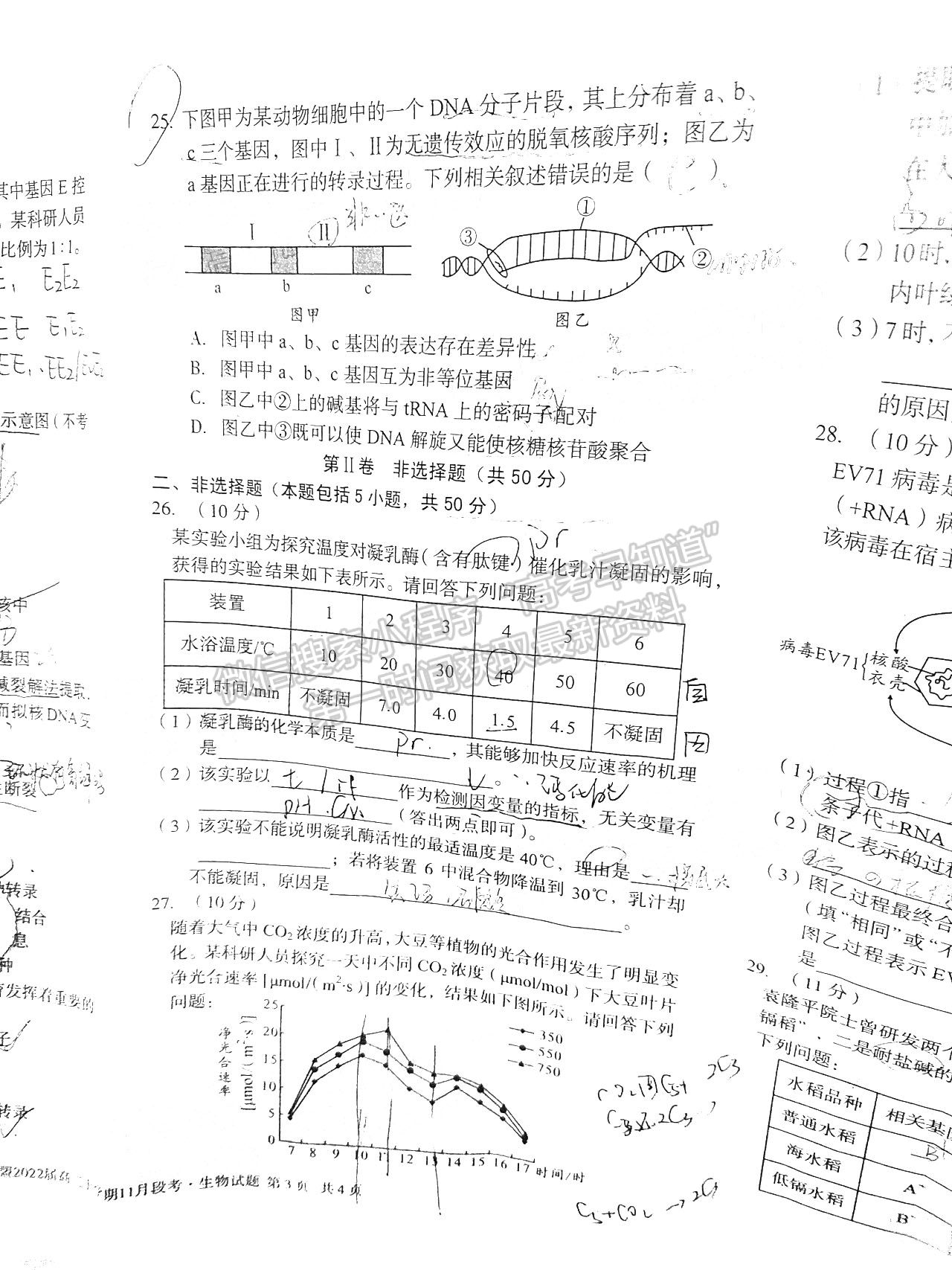 2022安徽A10聯(lián)盟高三11月聯(lián)考生物試卷及答案