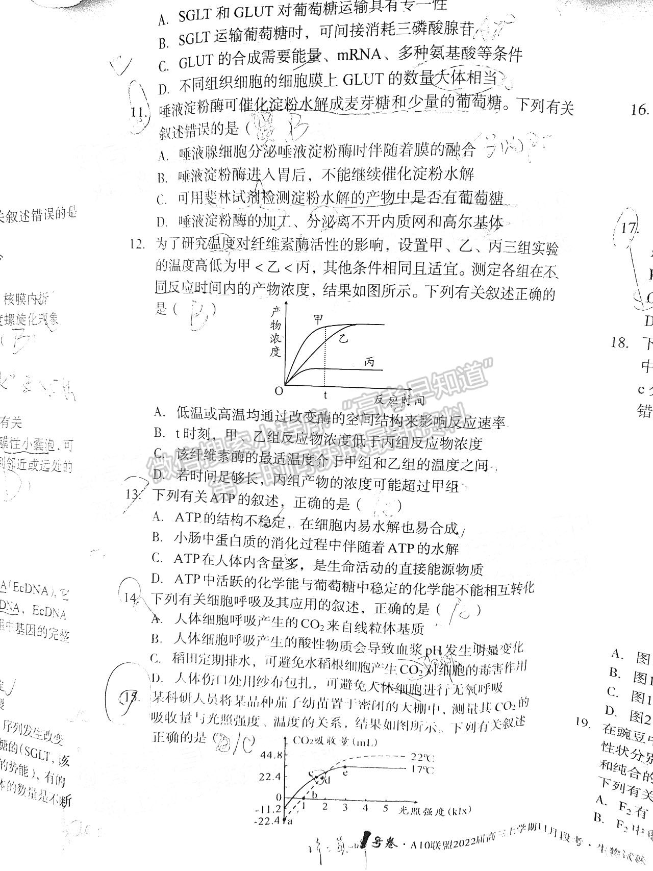 2022安徽A10聯(lián)盟高三11月聯(lián)考生物試卷及答案