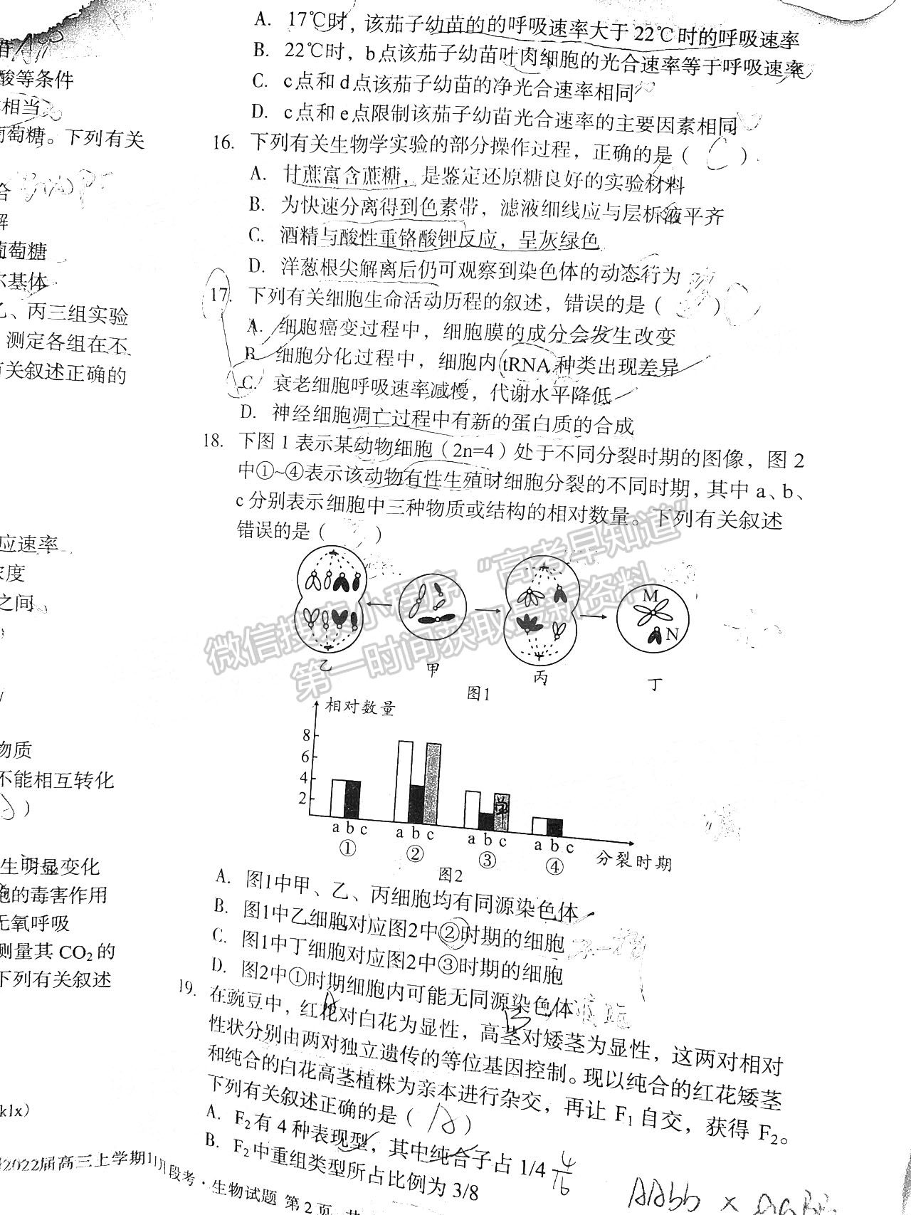 2022安徽A10聯(lián)盟高三11月聯(lián)考生物試卷及答案