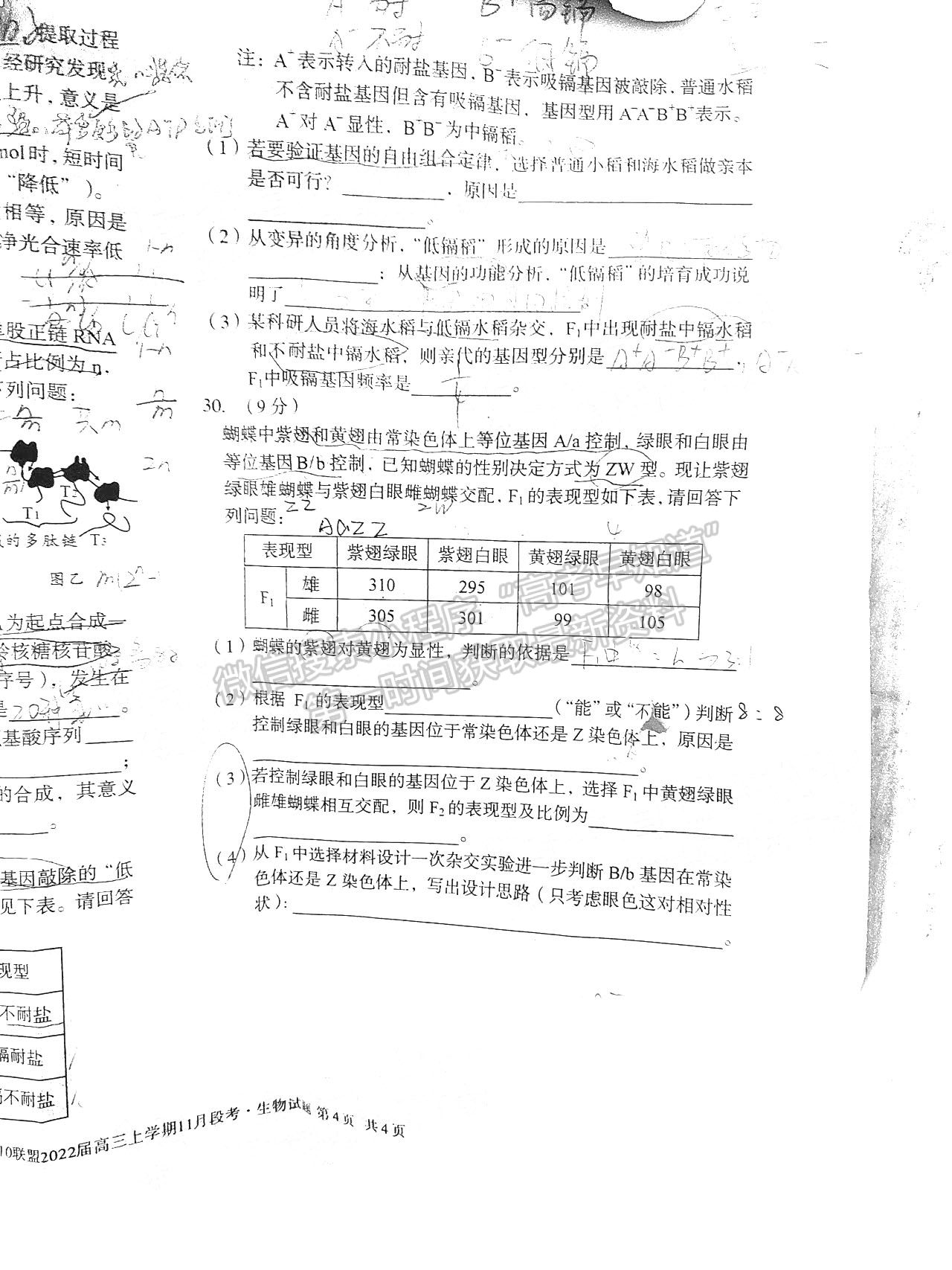 2022安徽A10聯(lián)盟高三11月聯(lián)考生物試卷及答案