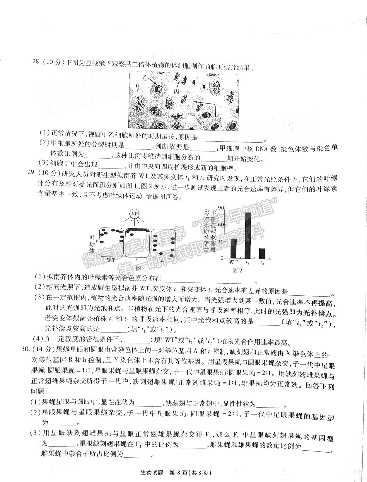 2022江淮十校第二次联考生物试卷及答案