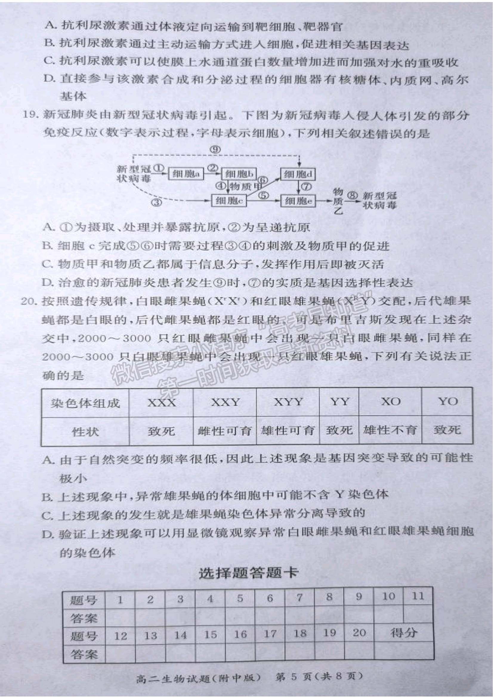 2021-2022學年湖師大附中學高二上學期期中考生物試題及答案